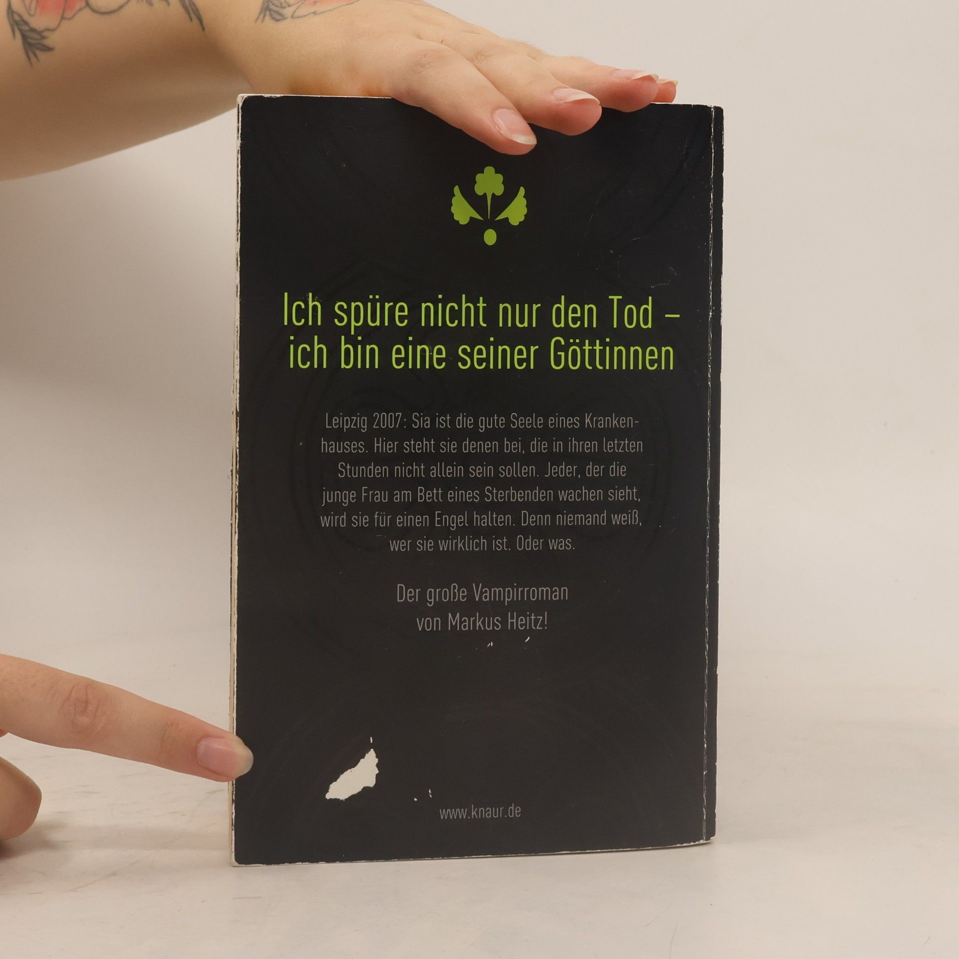Markus Heitz Kinder des Judas