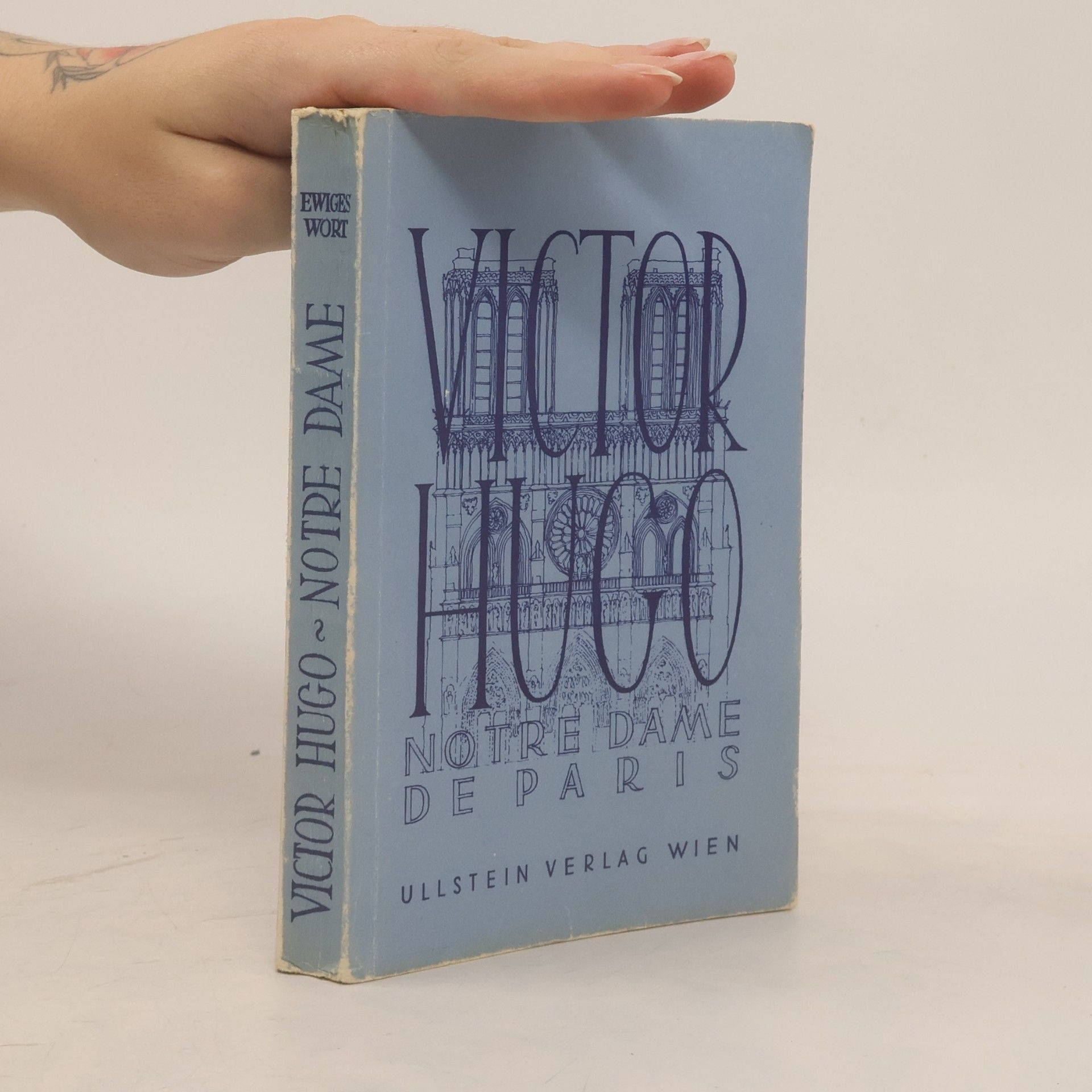 Victor Hugo Notre Dame de Paris
