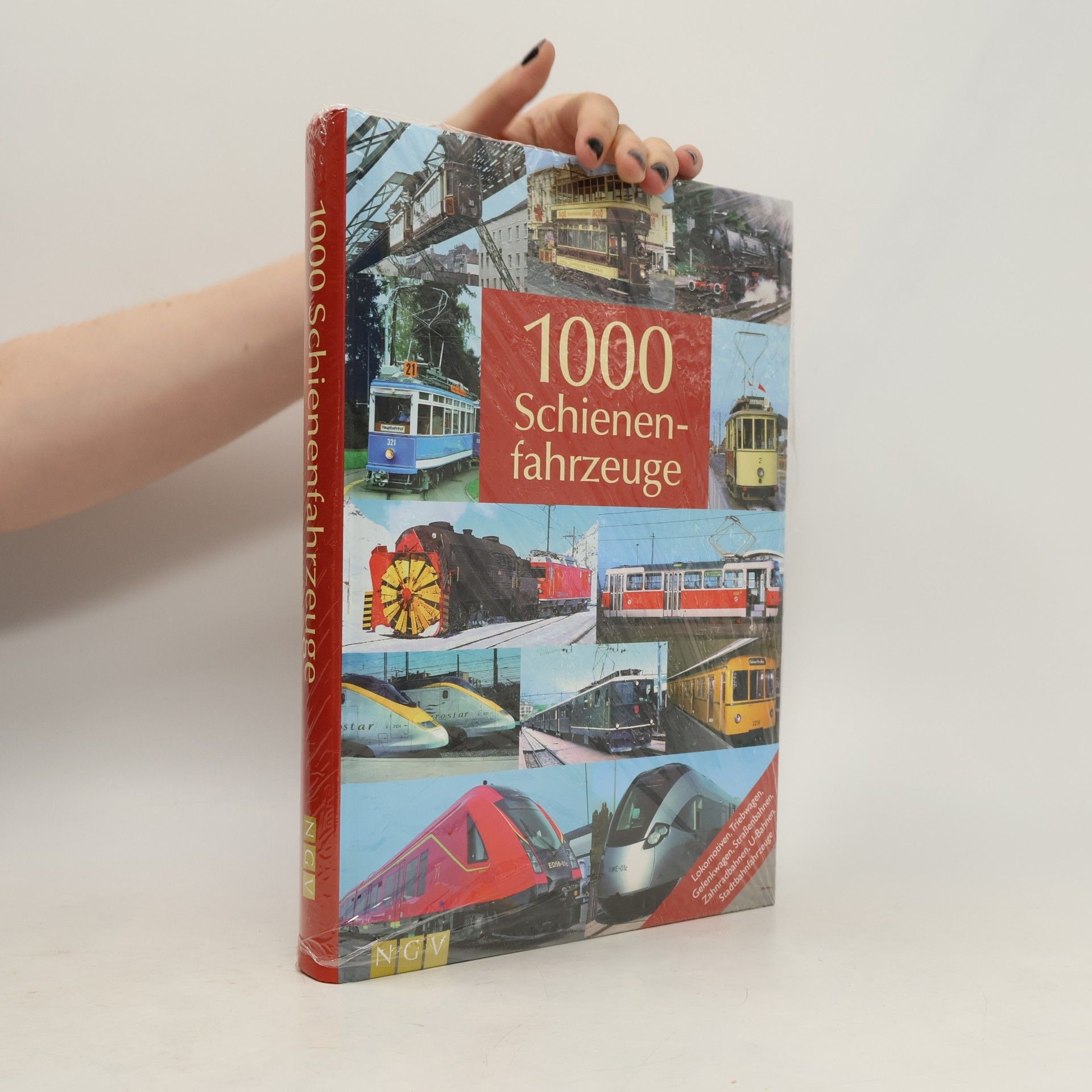 Stefan Göbel 1000 Schienenfahrzeuge