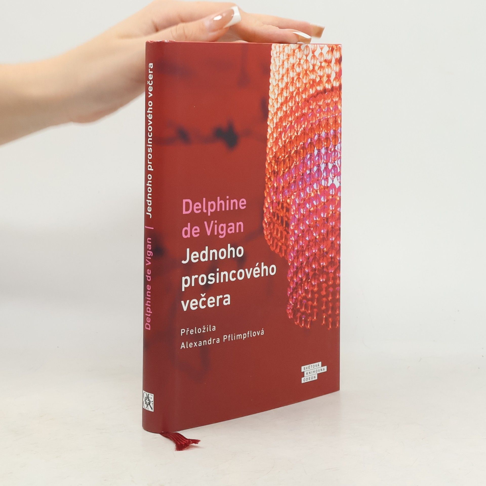 Delphine de Vigan Jednoho prosincového večera