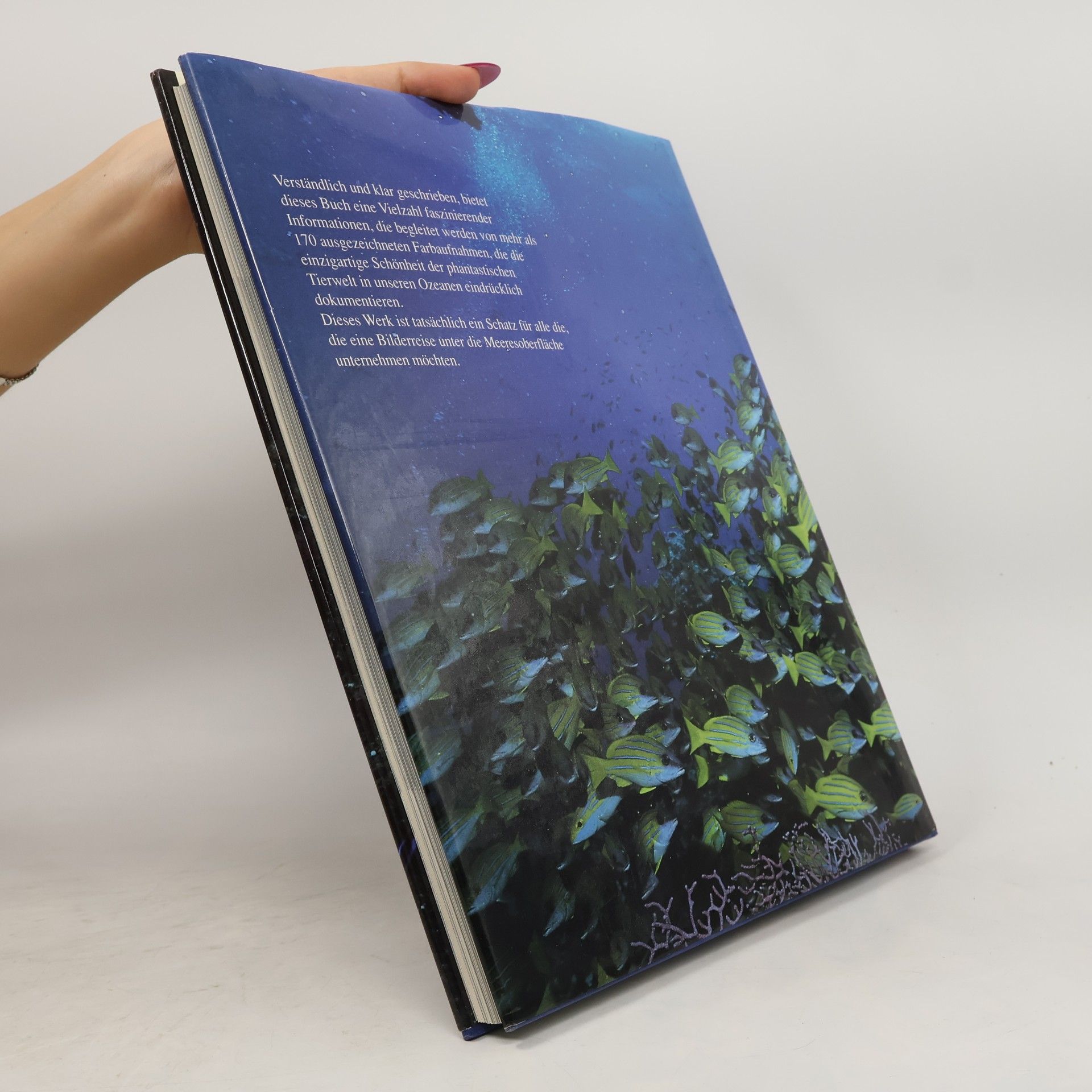 Autores varios Zauber der Meere