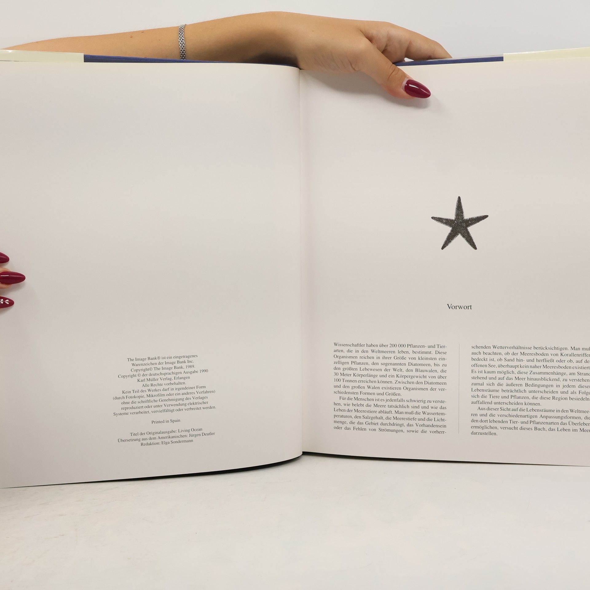 Autores varios Zauber der Meere