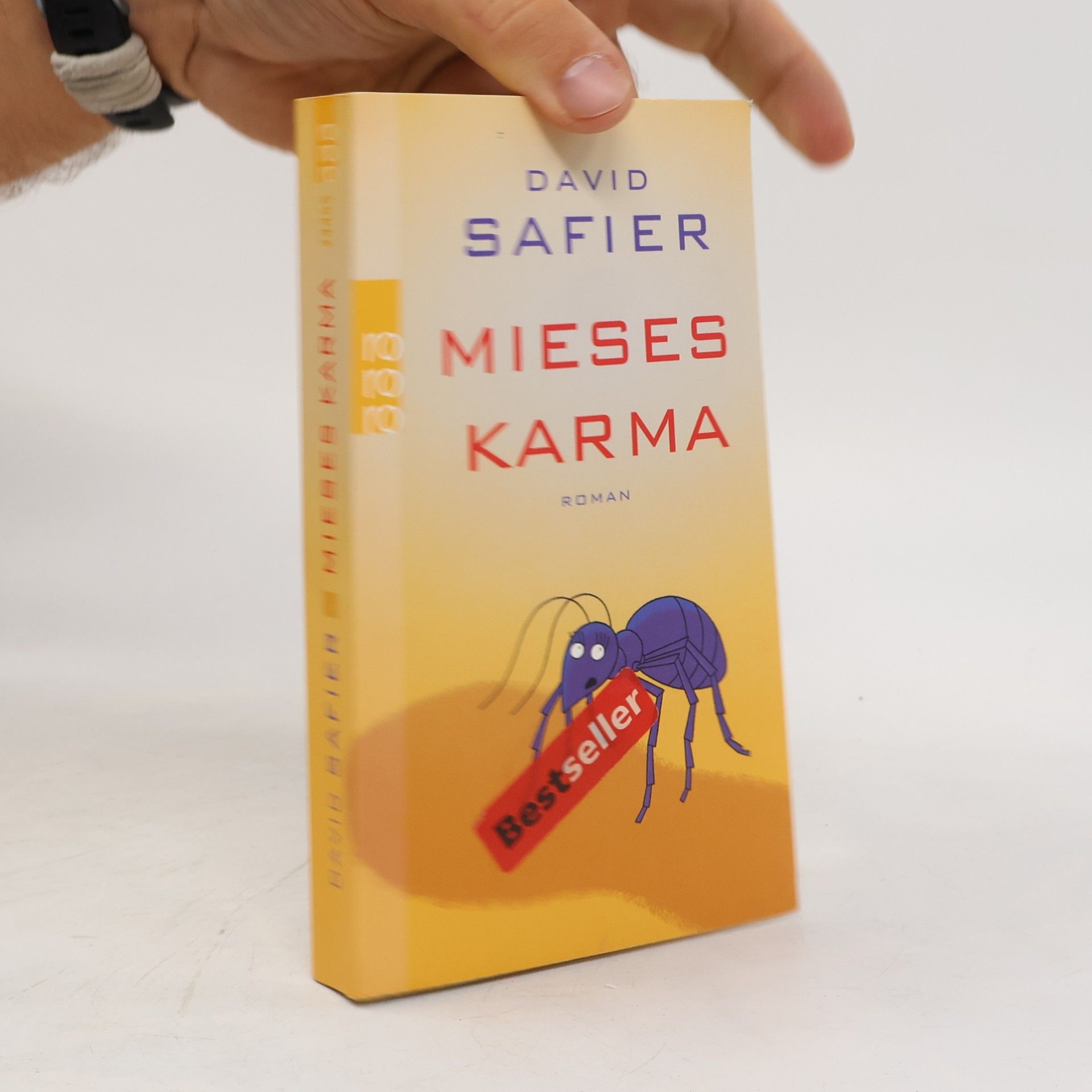 David Safier Mieses Karma