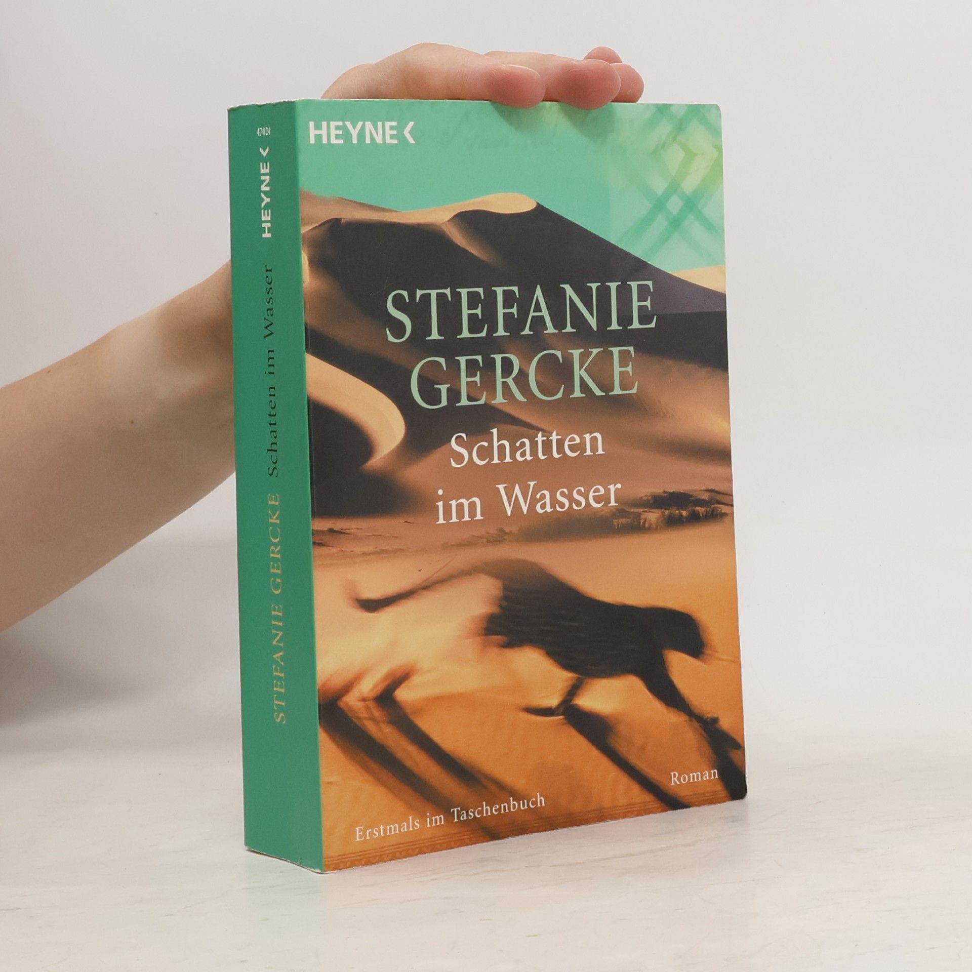 Stefanie Gercke Schatten im Wasser