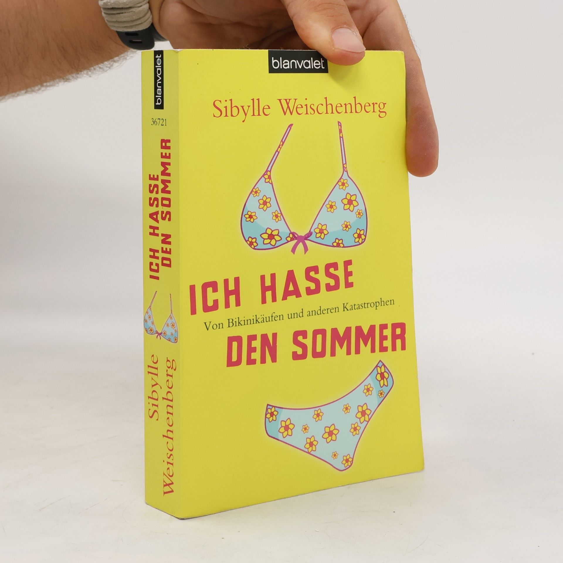 Sibylle Weischenberg Ich hasse den Sommer