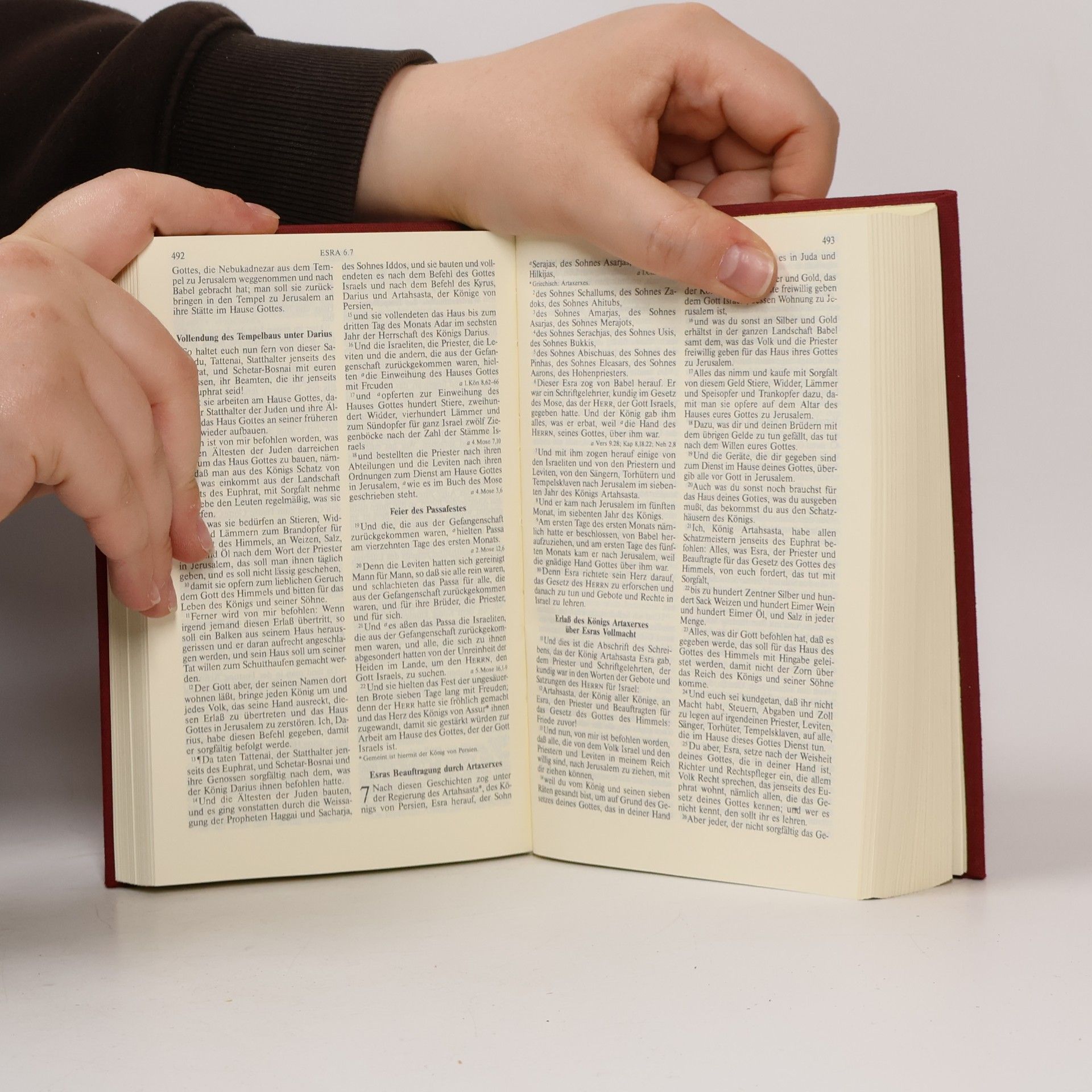 Martin Luther Die Bibel, nach der Übersetzung Martin Luthers