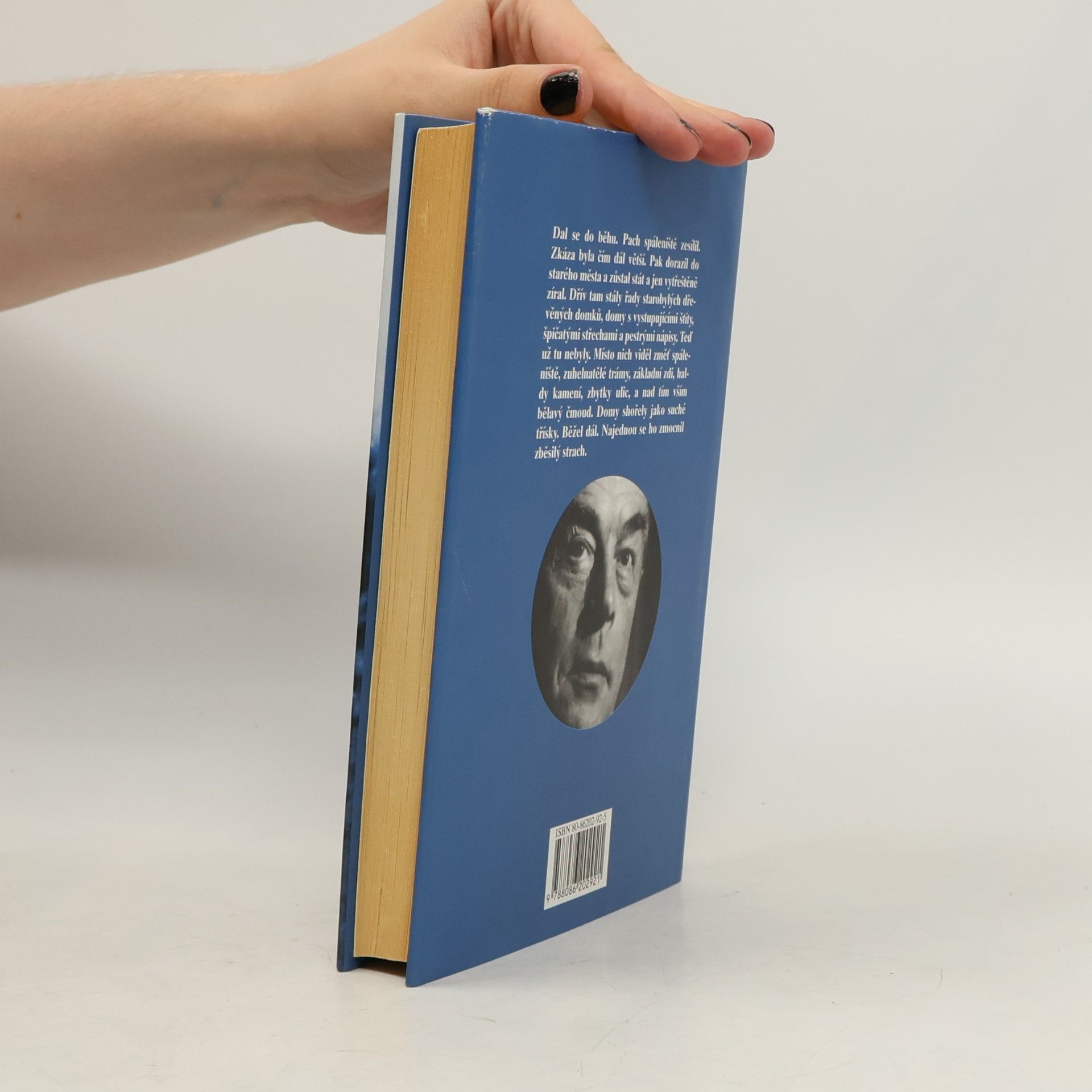 Erich Maria Remarque Čas žít, čas umírat