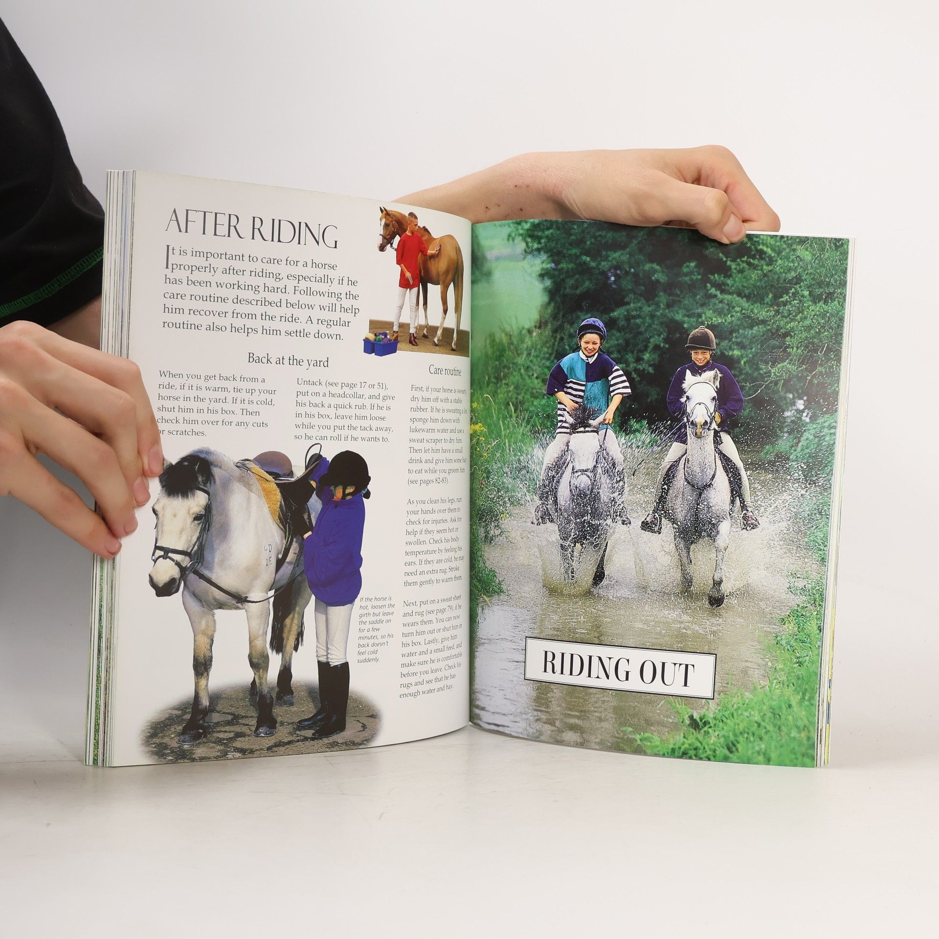 Lauren Brooke The Usborne Complete Book of Riding and Pony Care