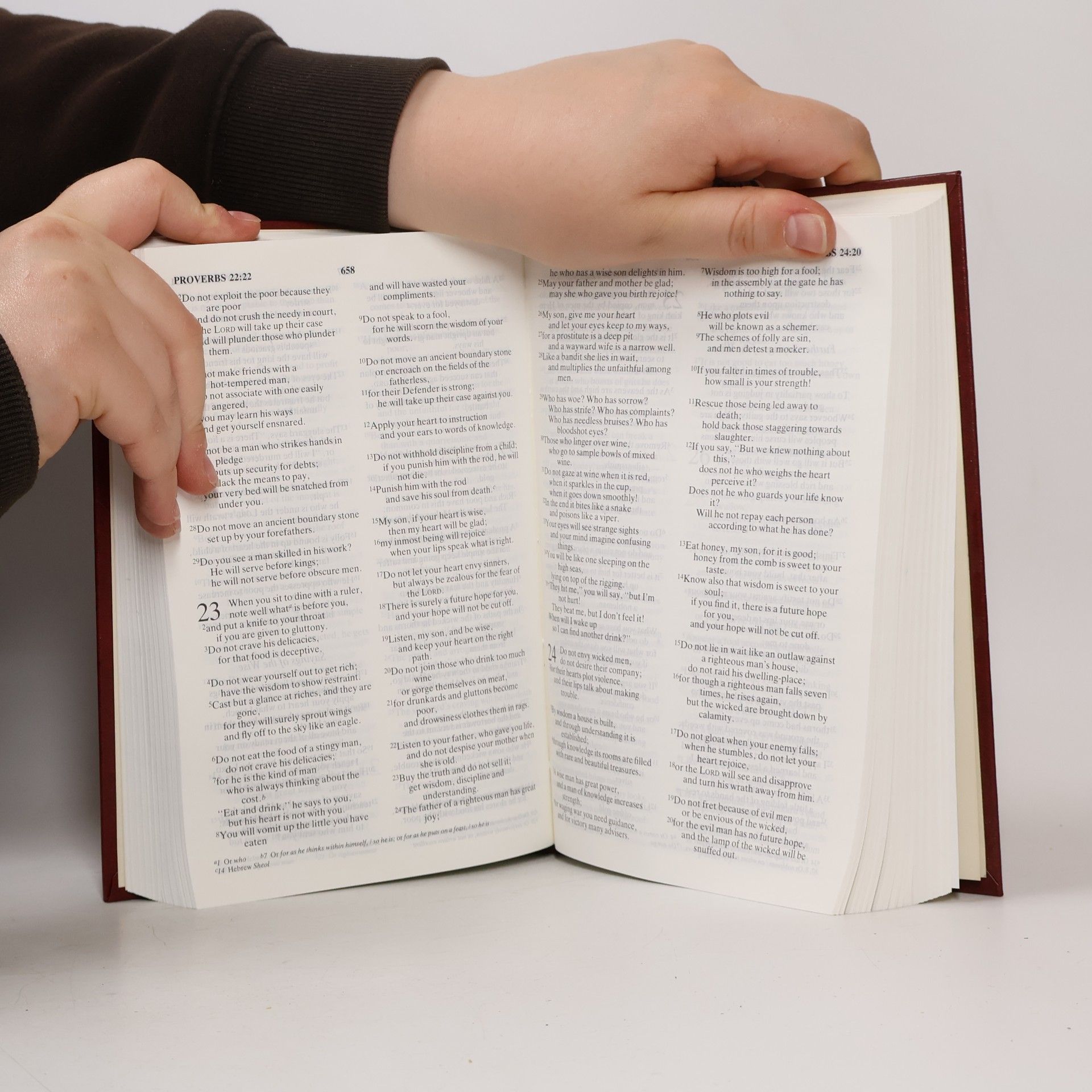 Anonymous Holy Bible