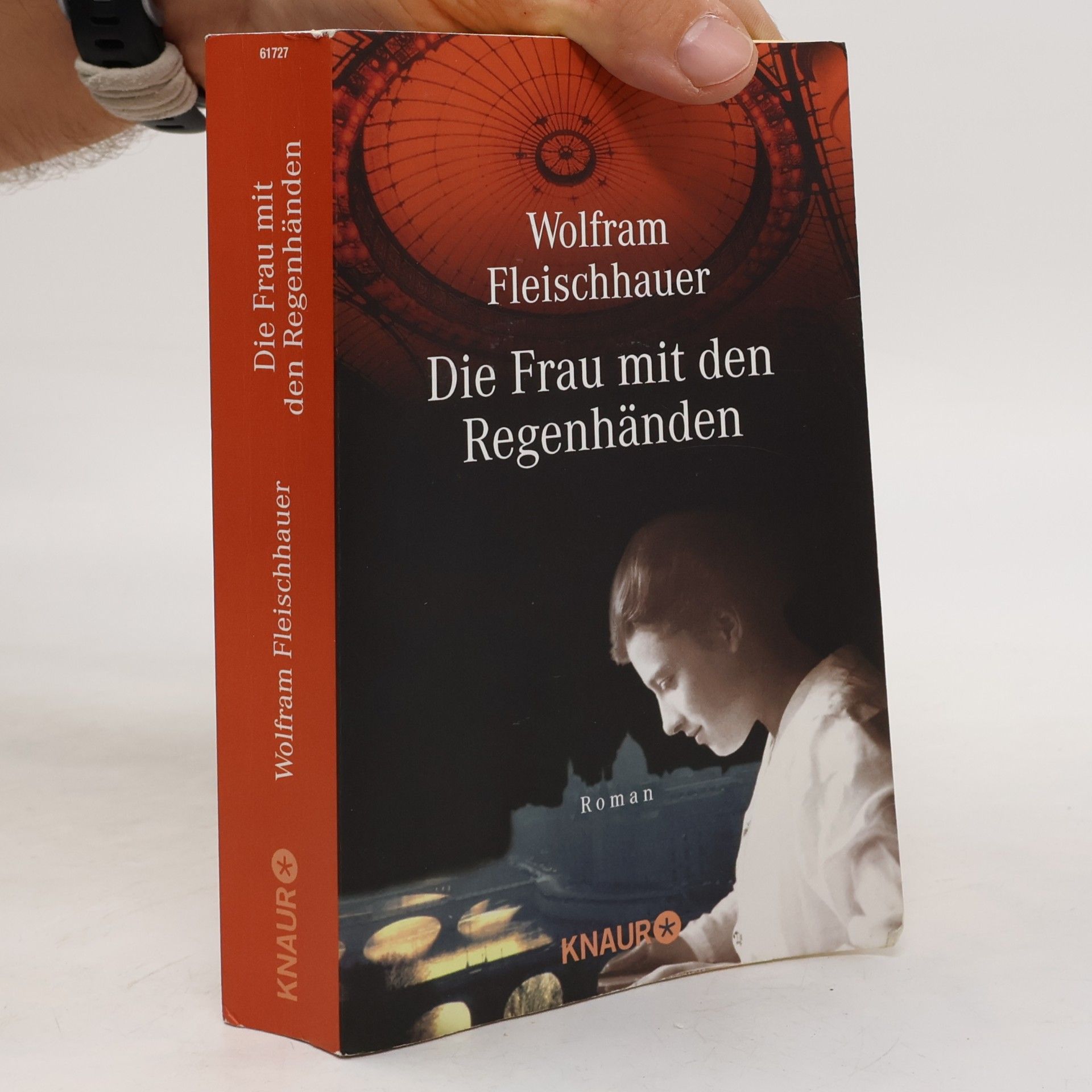 Wolfram Fleischhauer Die Frau mit den Regenhänden
