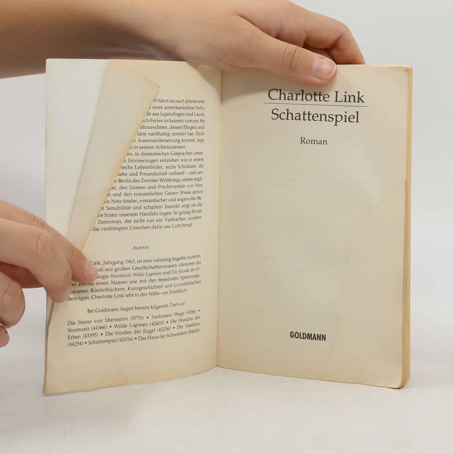 Charlotte Link Schattenspiel