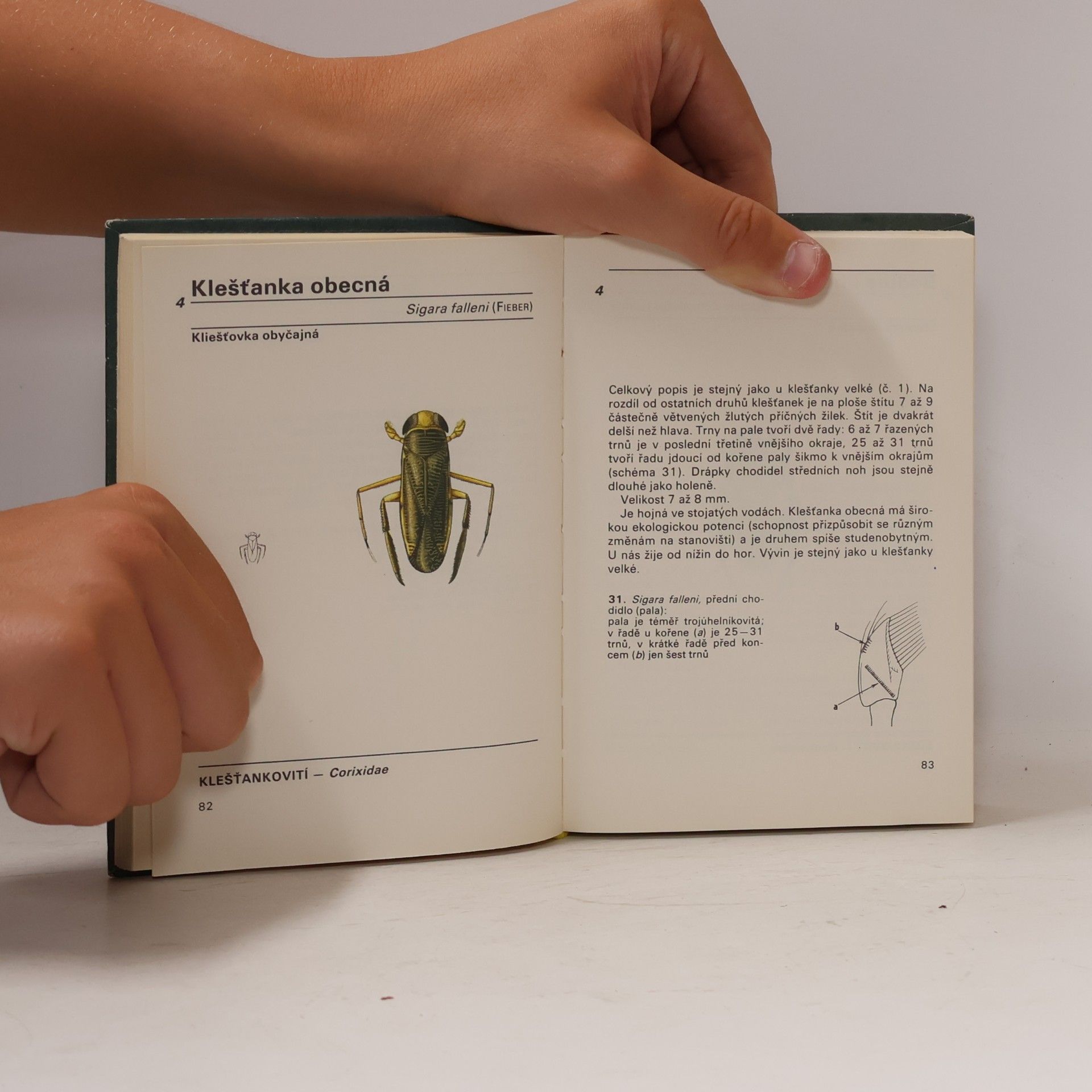 Vladimír Javorek Kapesní atlas ploštic a křísů