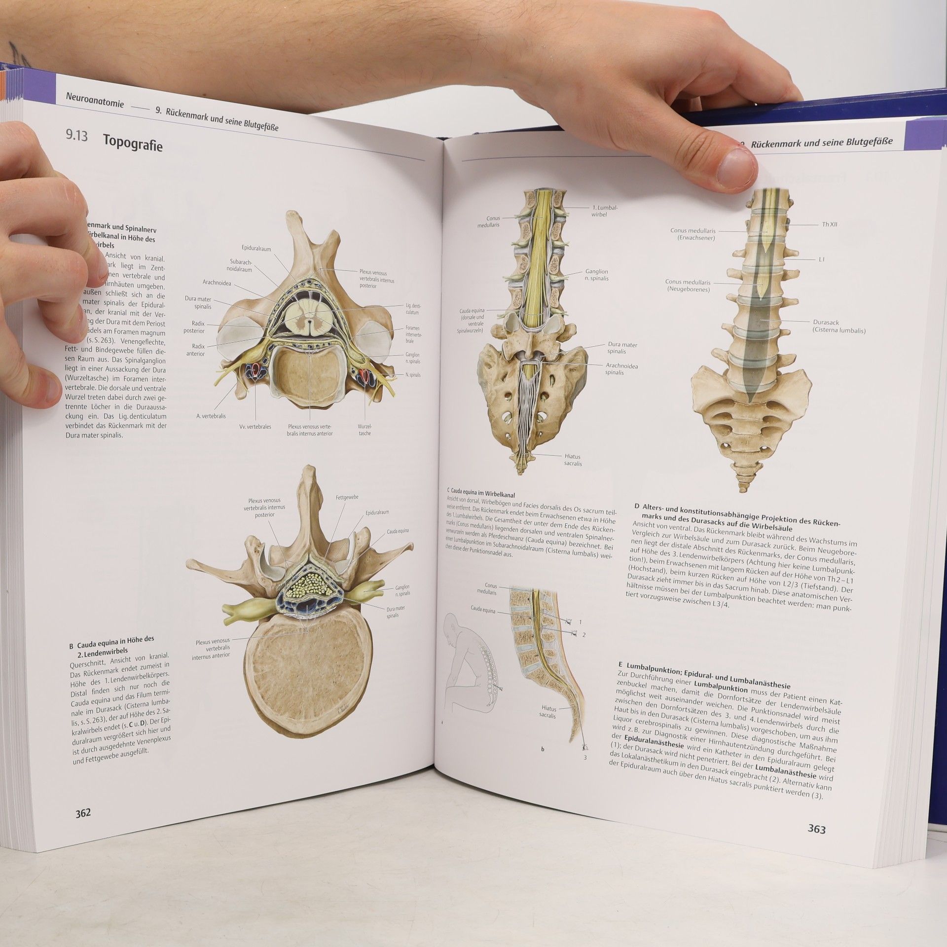 Michael Schünke Prometheus: LernAtlas der Anatomie