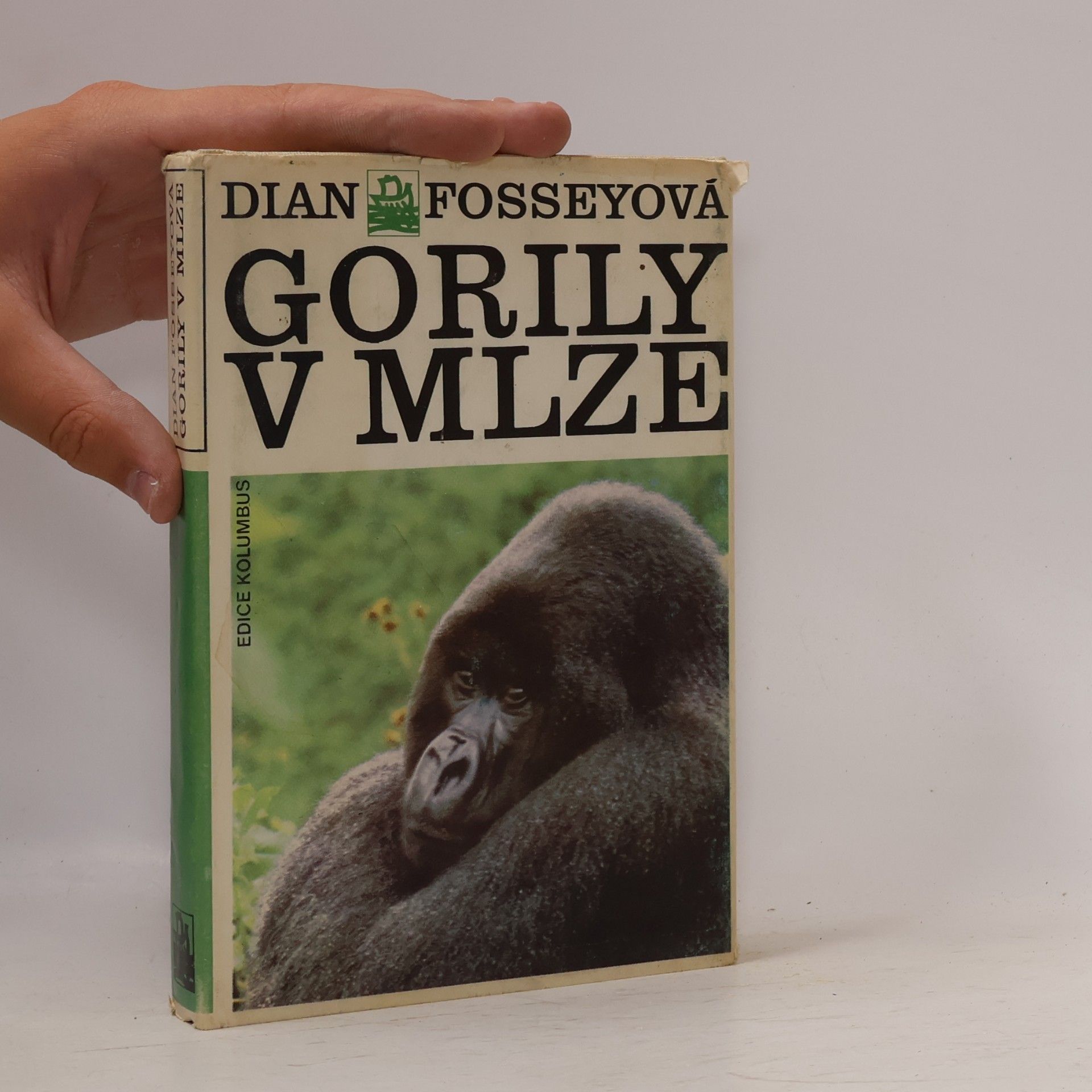 Dian Fossey Gorily v mlze