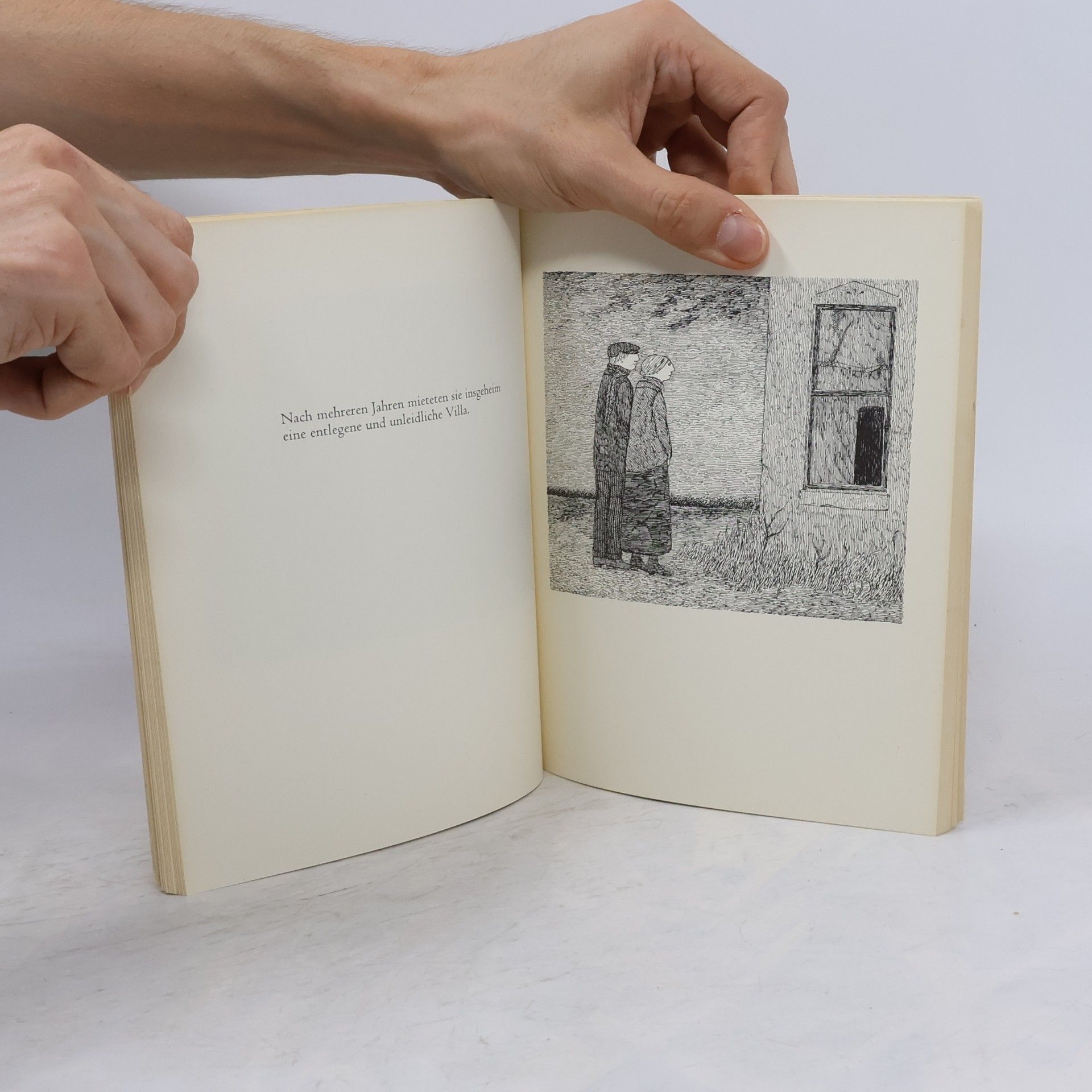Edward Gorey Das verabscheuungswürdige Paar