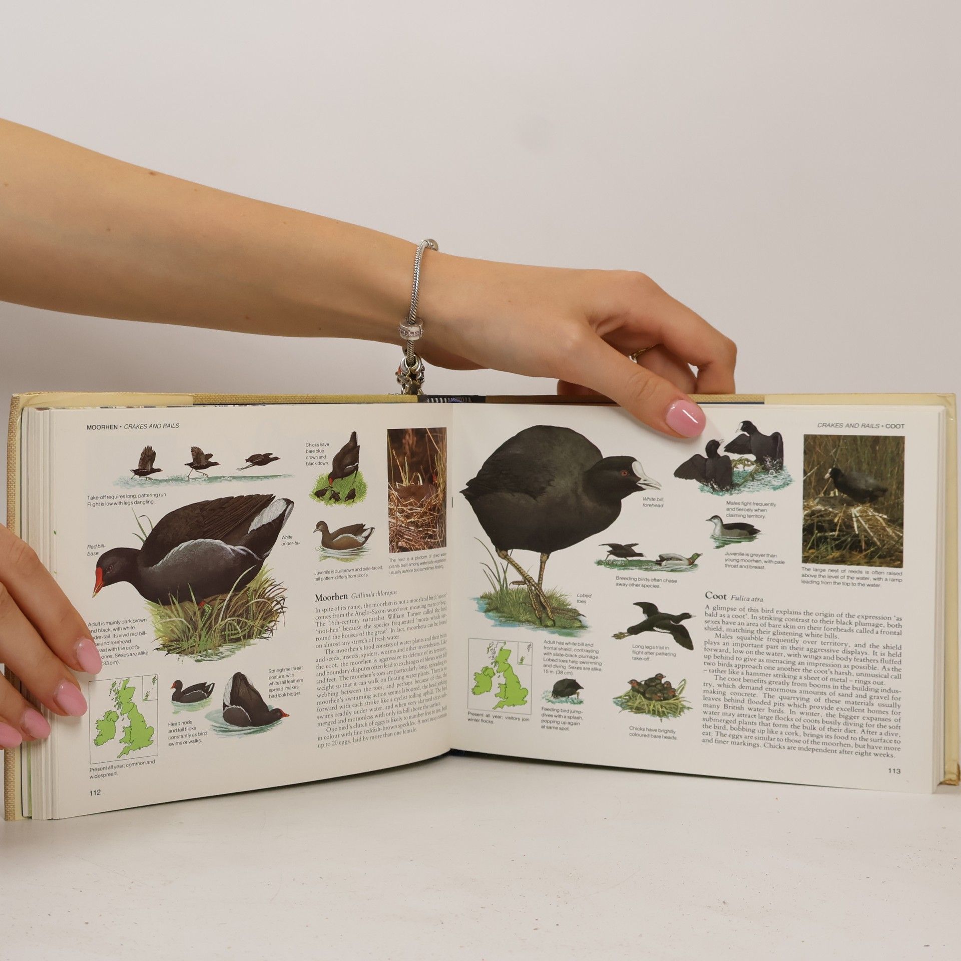 Reader's Digest Association (Great Britain) Field Guide to the Birds of Britain
