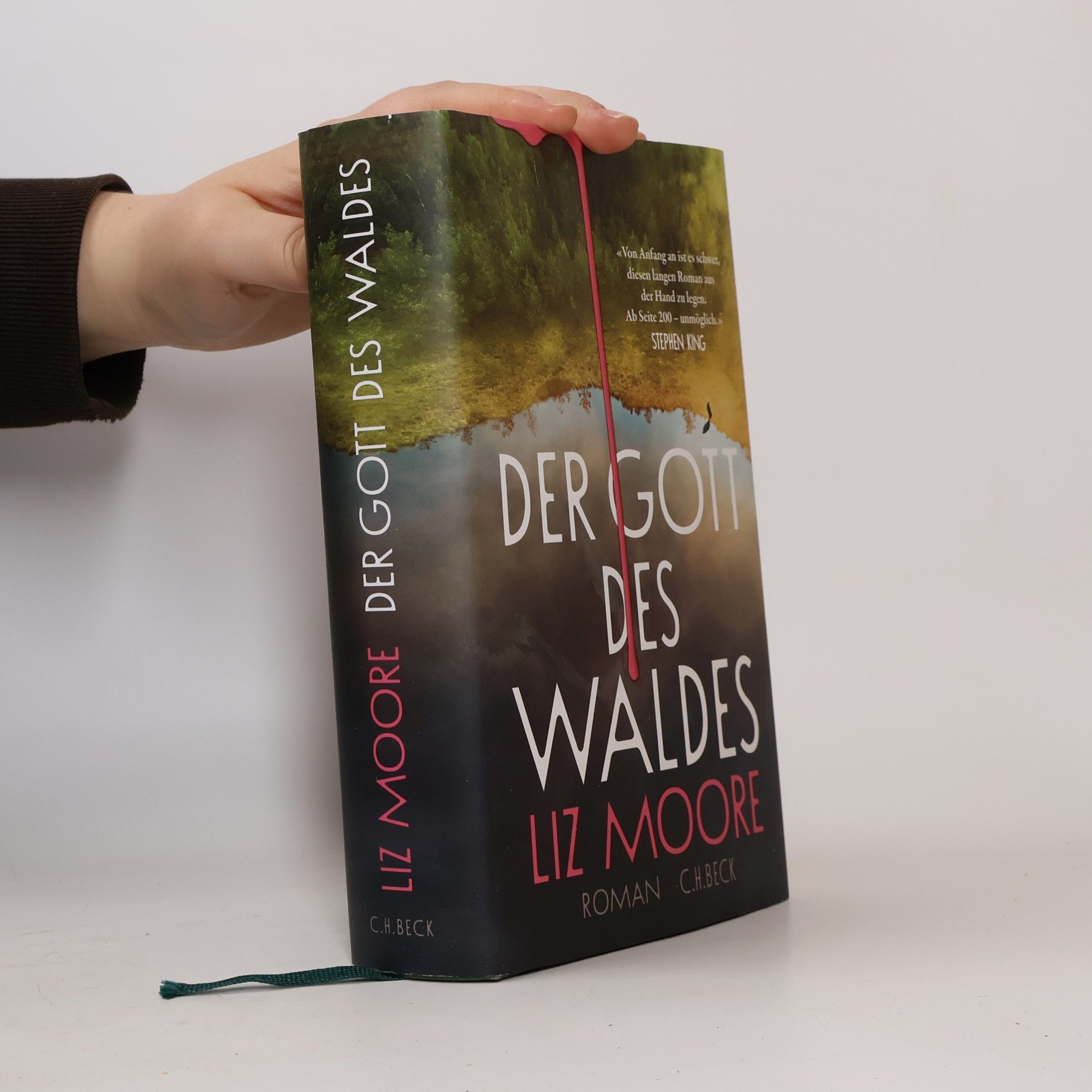 Liz Moore Der Gott des Waldes