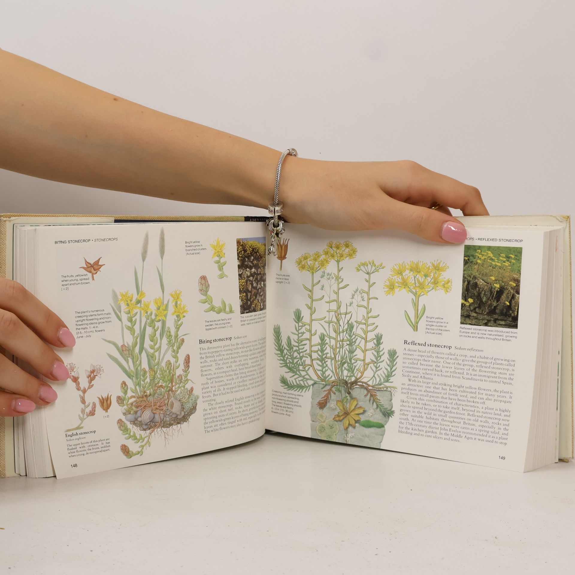 Field Guide to the Wild Flowers of Britain
