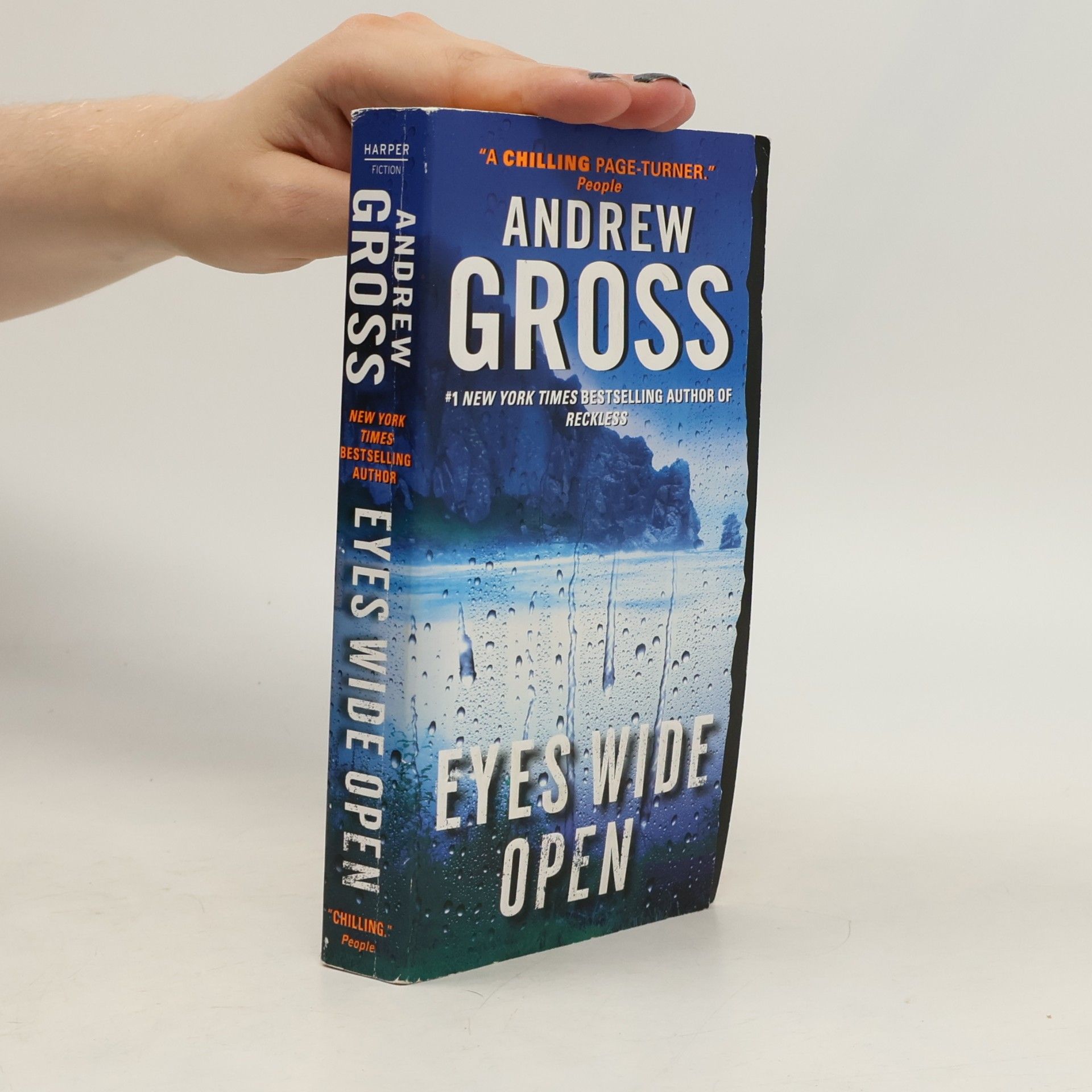 Andrew Gross Eyes Wide Open
