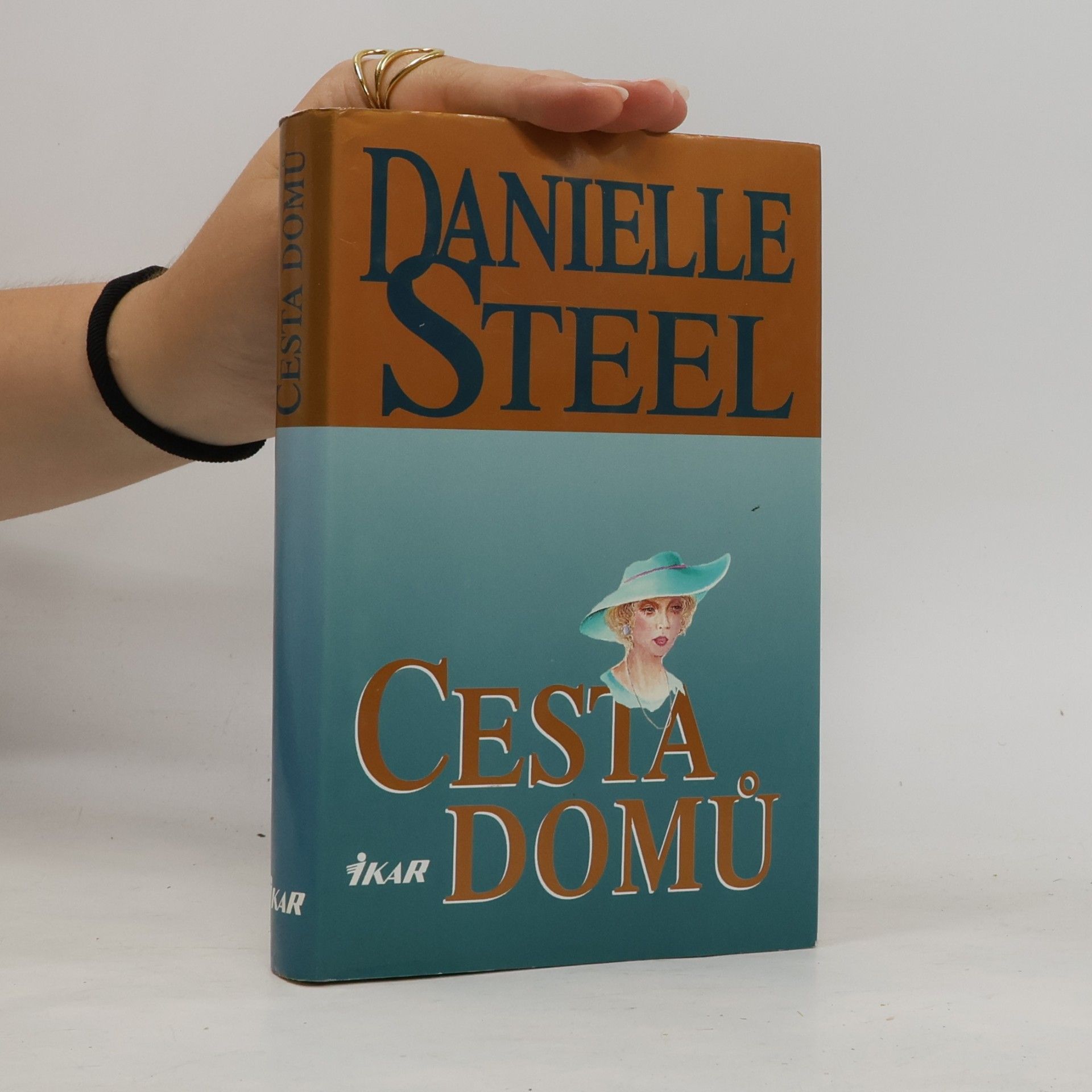 Danielle Steel Cesta domů
