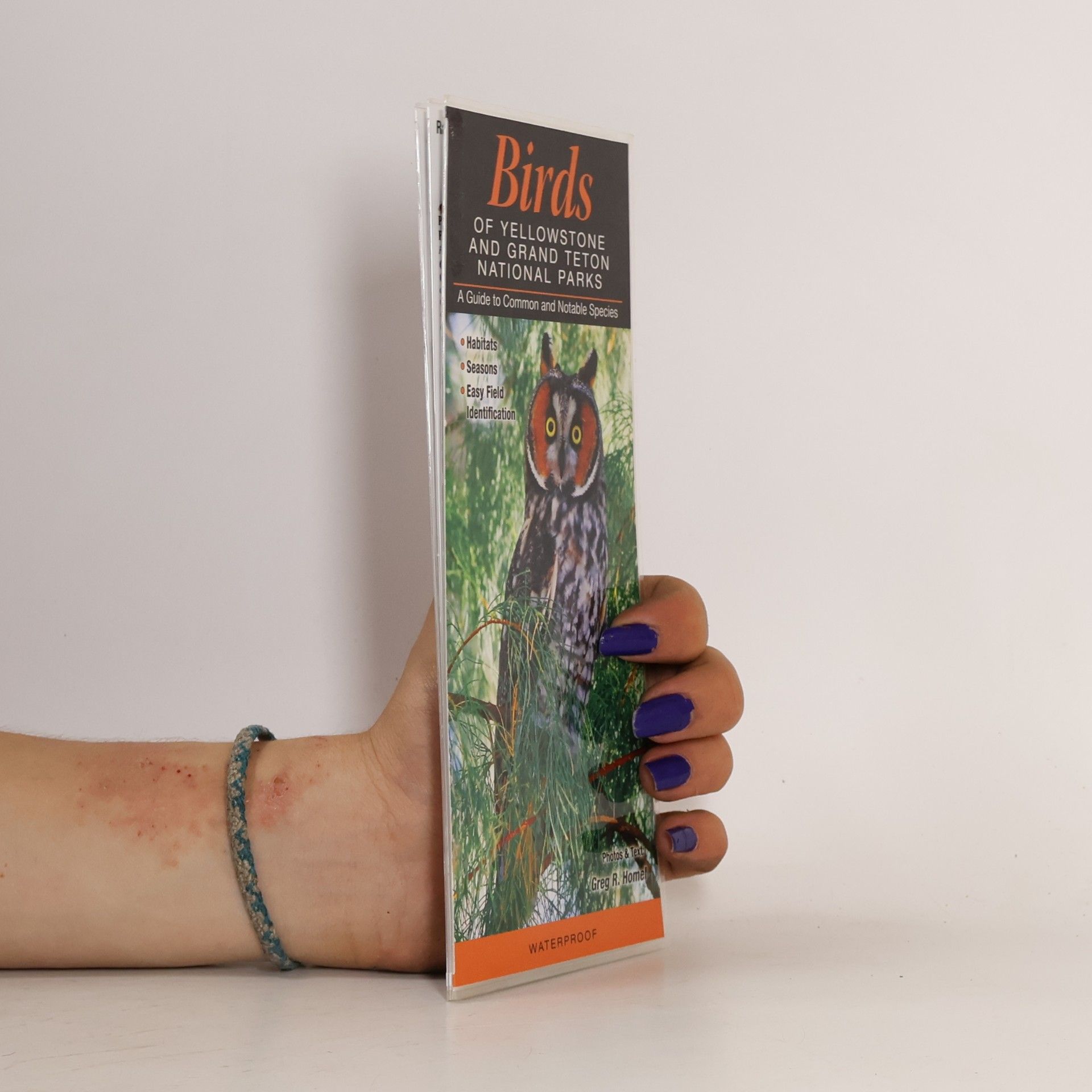 Birds of Yellowstone & Grand Teton National Parks