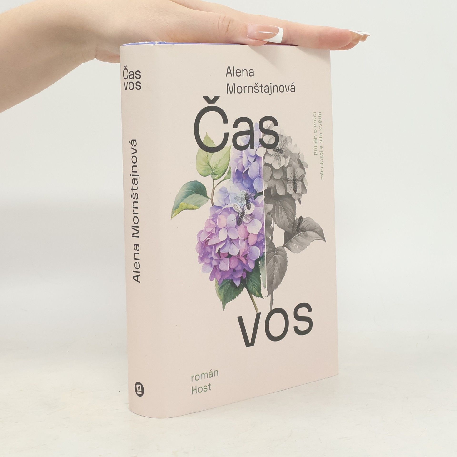 Alena Mornštajnová Čas vos