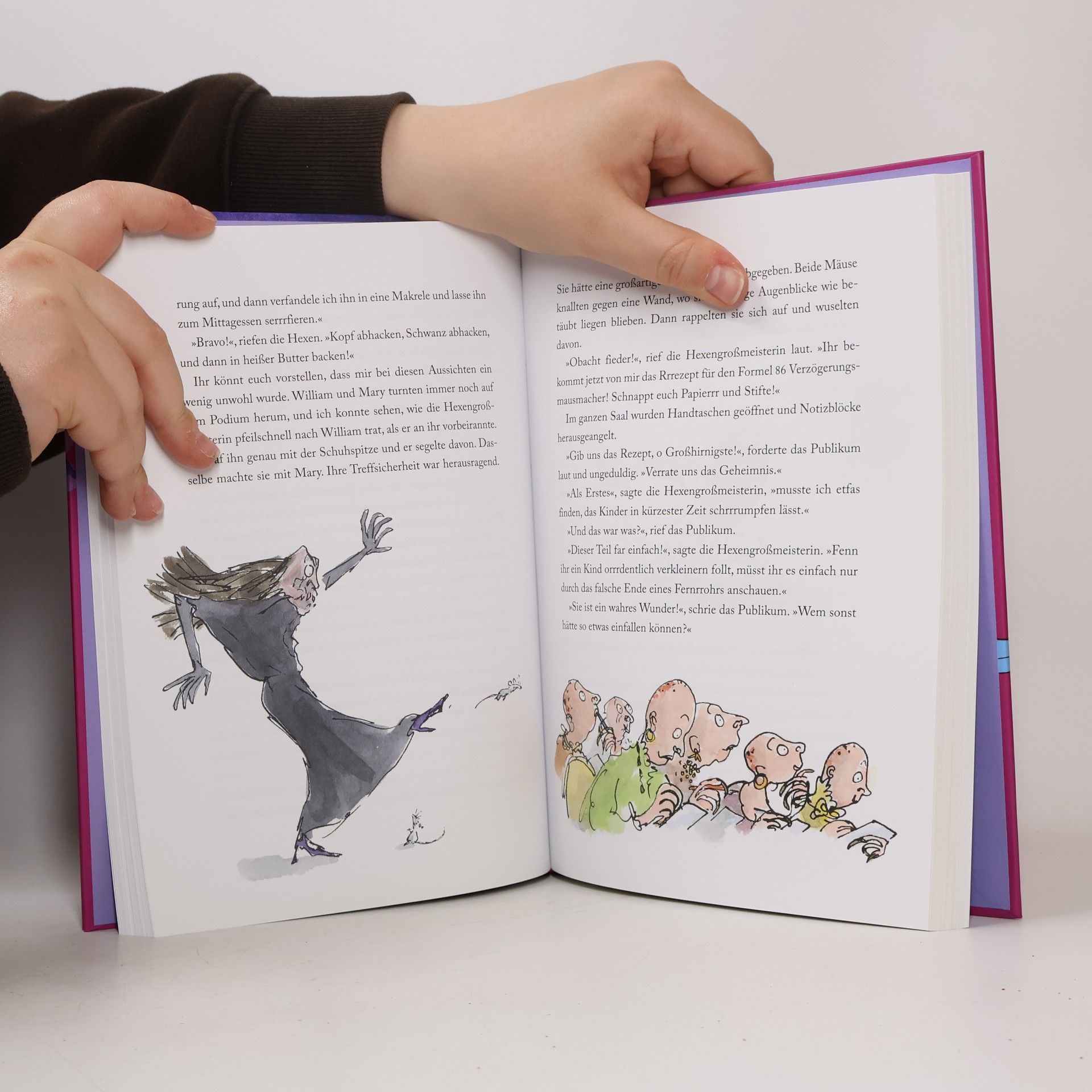 Roald Dahl Hexen hexen