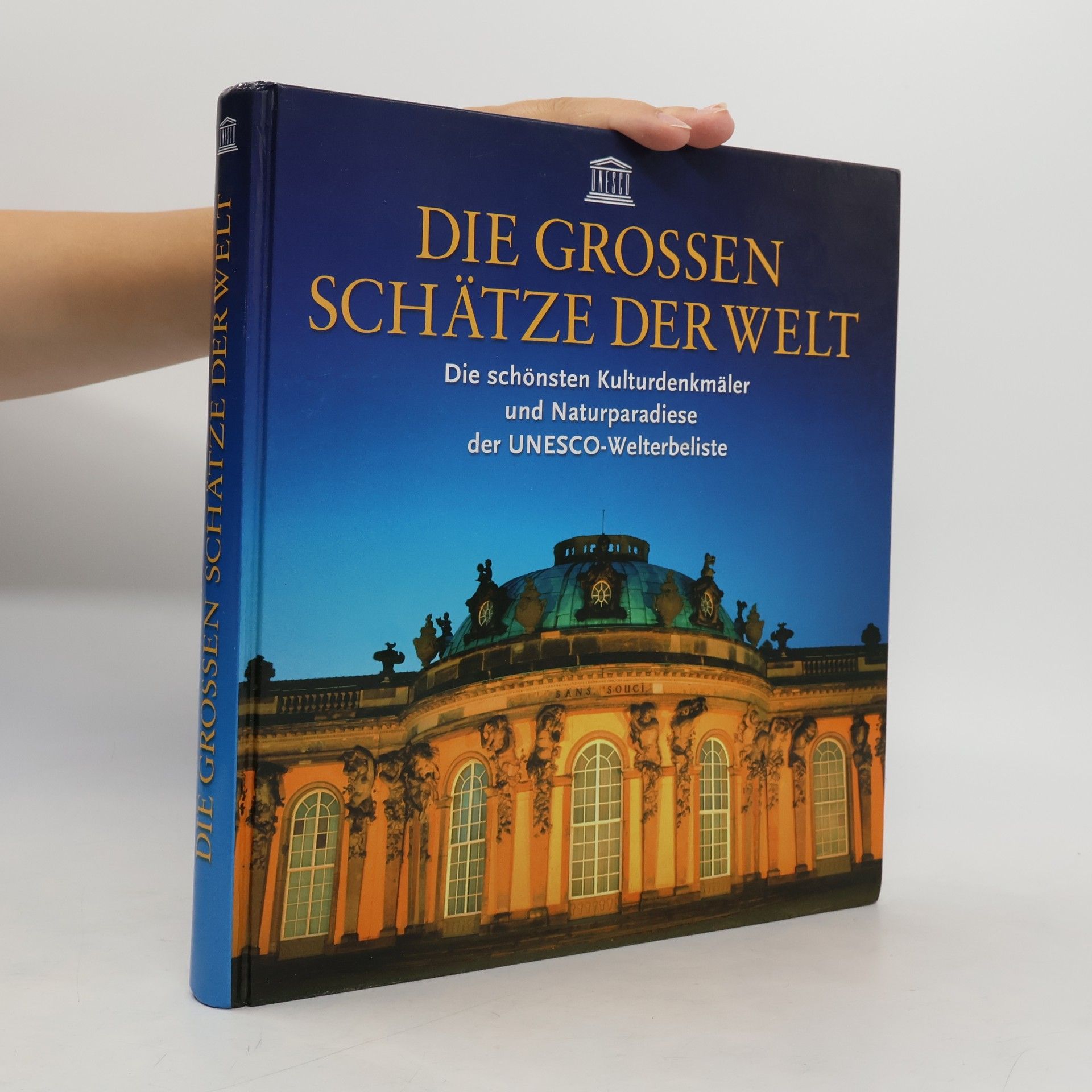 Kolektiv autorů Die Grossen Schätze der Welt