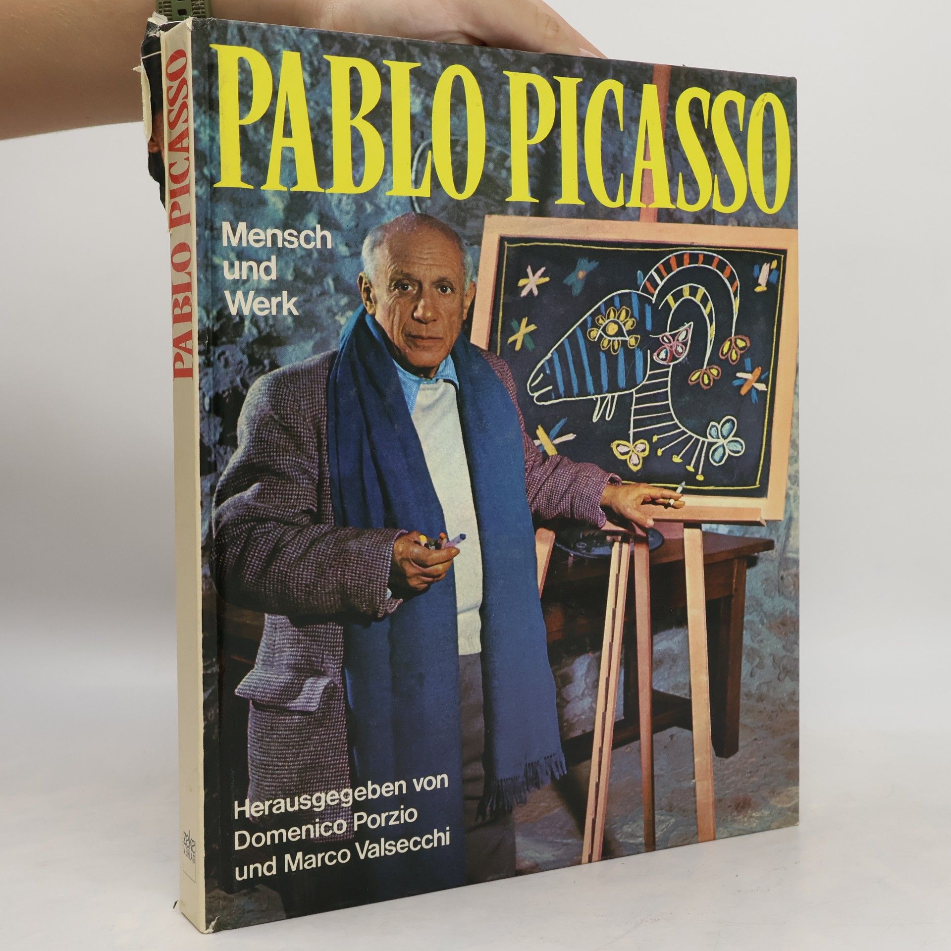 Domenico Porzio Pablo Picasso: Mensch und Werk