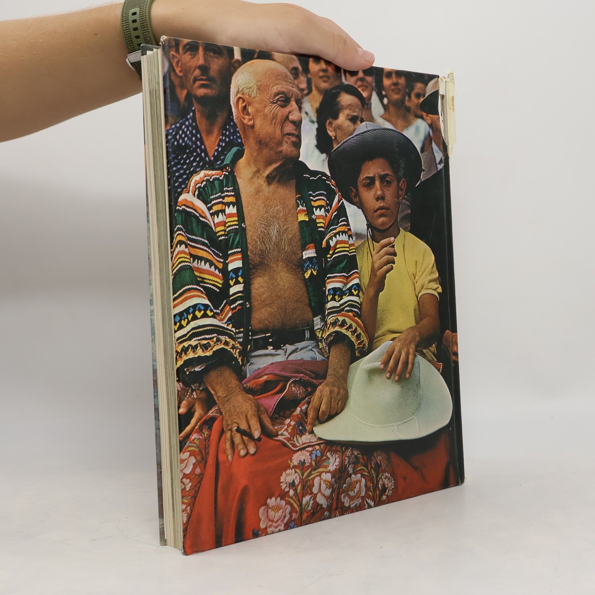 Domenico Porzio Pablo Picasso: Mensch und Werk
