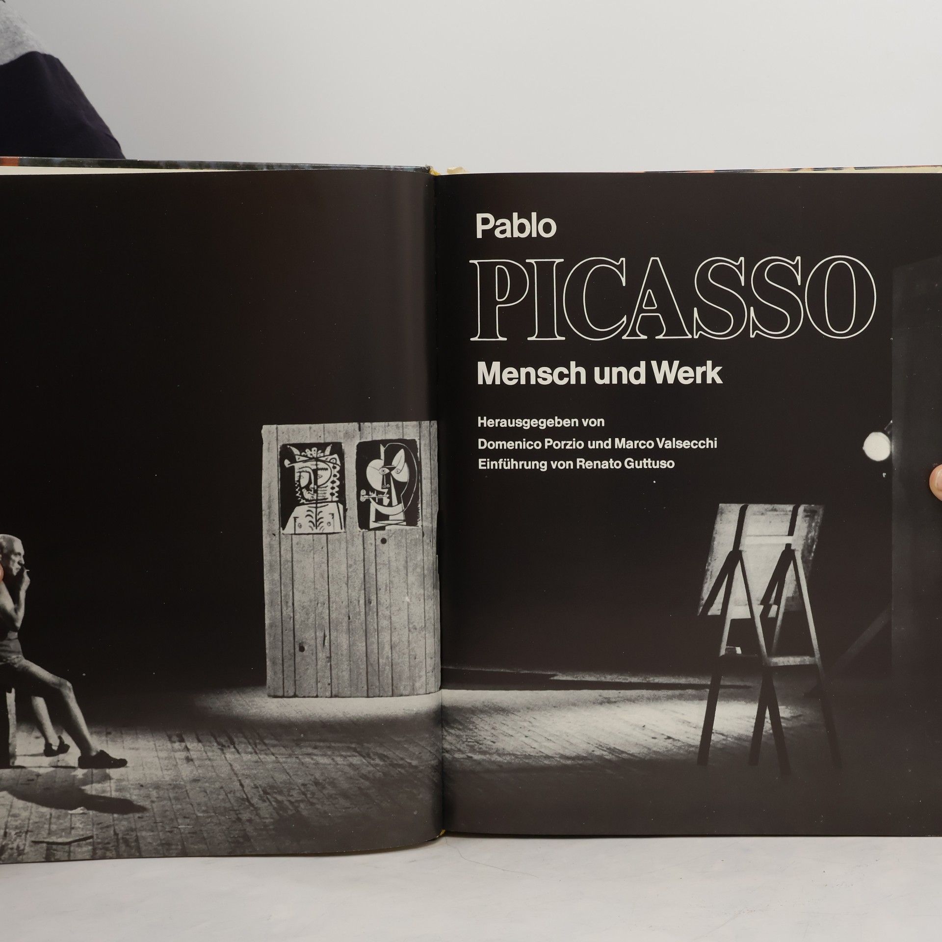 Domenico Porzio Pablo Picasso: Mensch und Werk