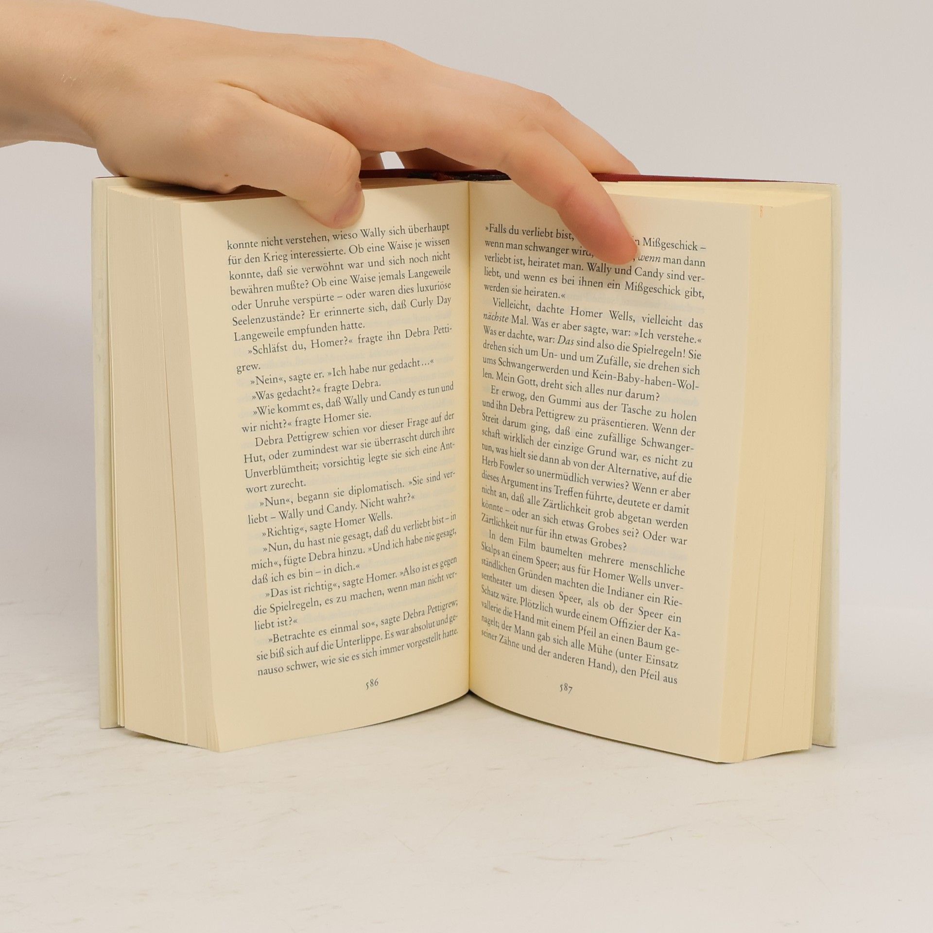 John Irving Gottes Werk und Teufels Beitrag