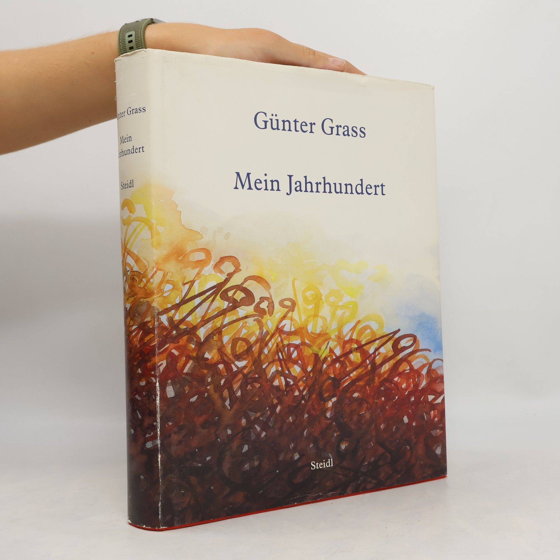 Günter Grass Mein Jahrhundert