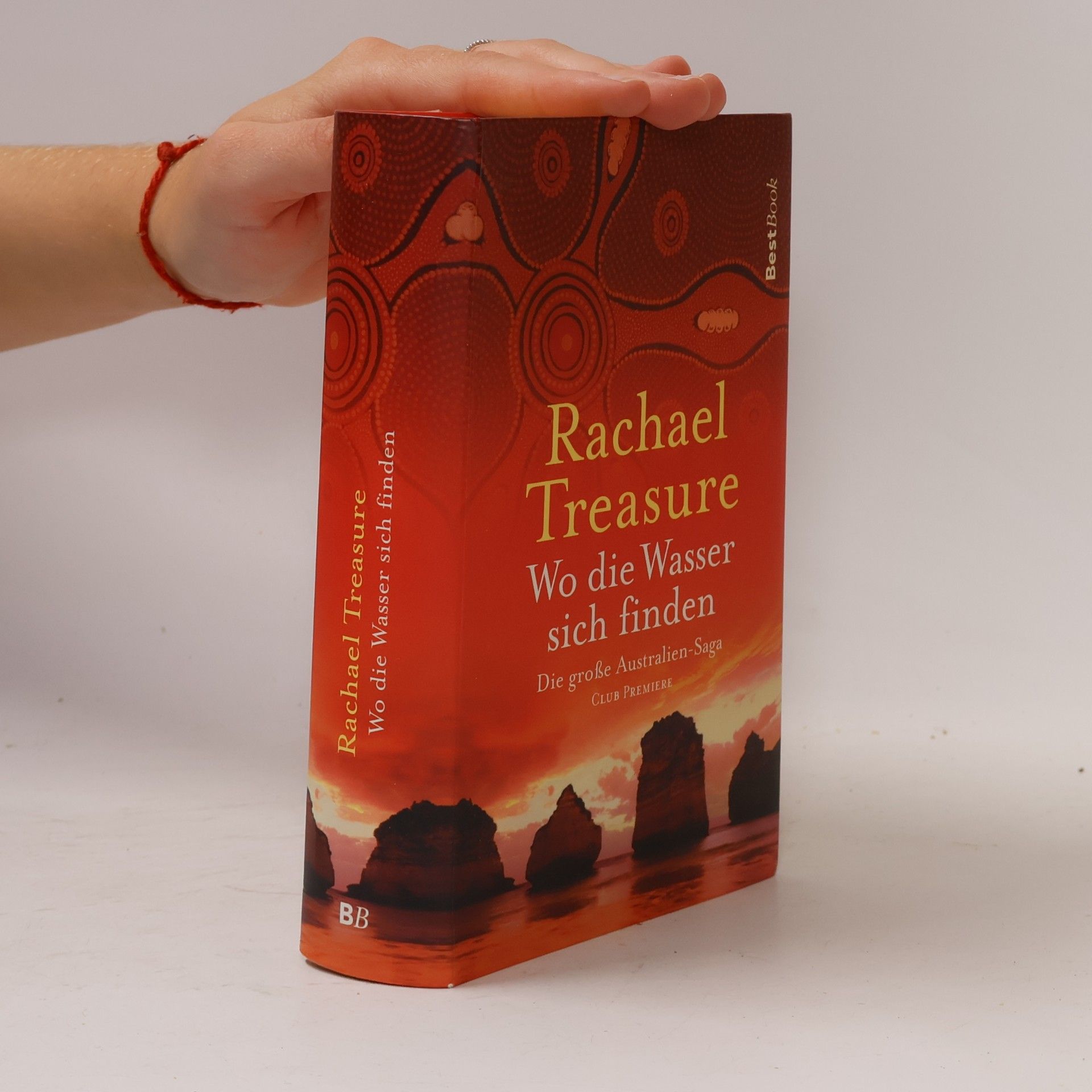 Rachel Treasure Wo die Wasser sich finden