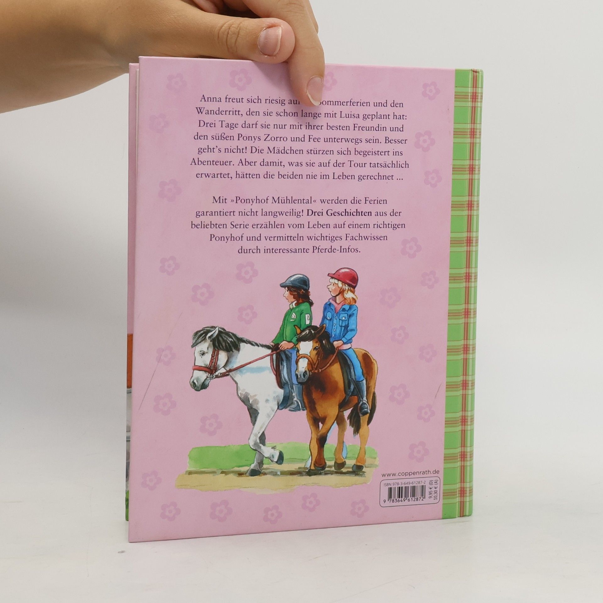 Sarah Bosse Sommergeschichten vom Ponyhof Mühlental