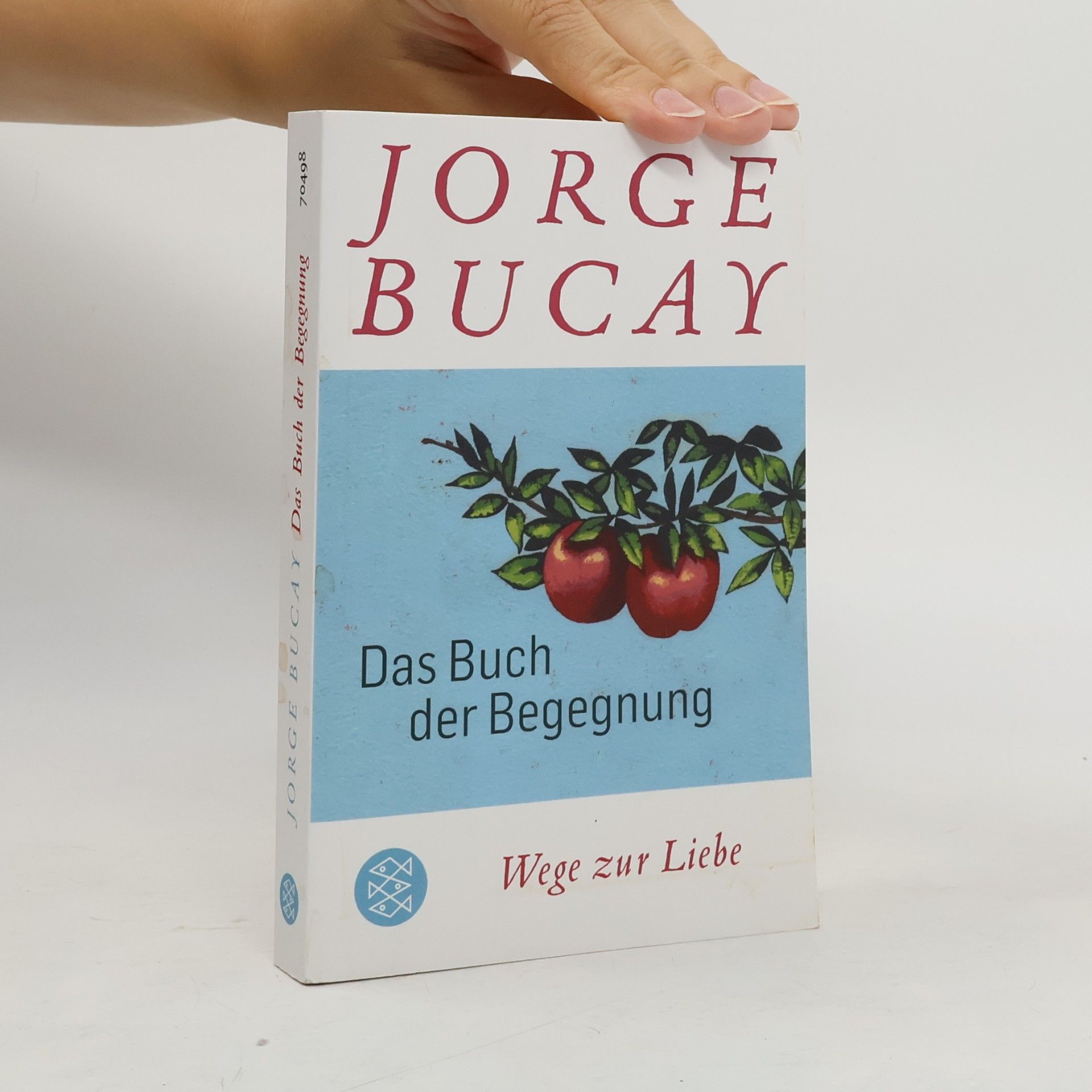 Jorge Bucay Das Buch der Begegnung