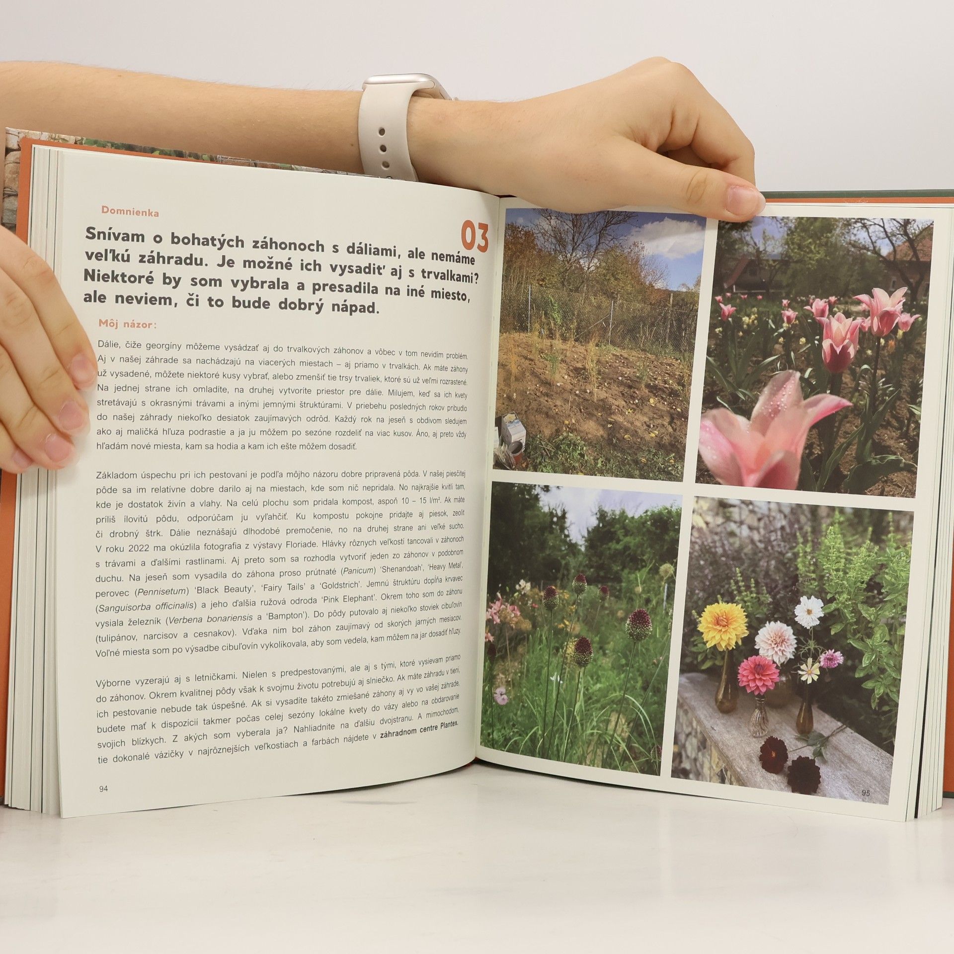 Jana Bieliková Záhrada bez omylov. Existuje vôbec?