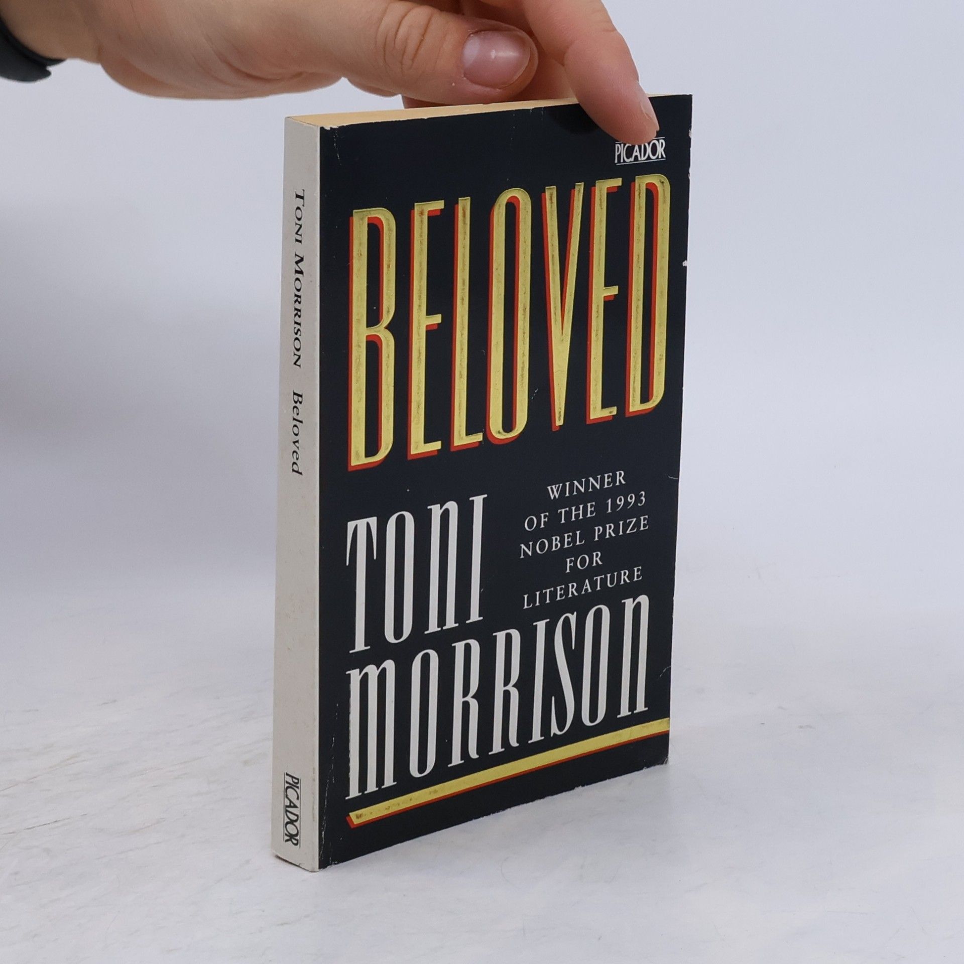 Toni Morrison Beloved