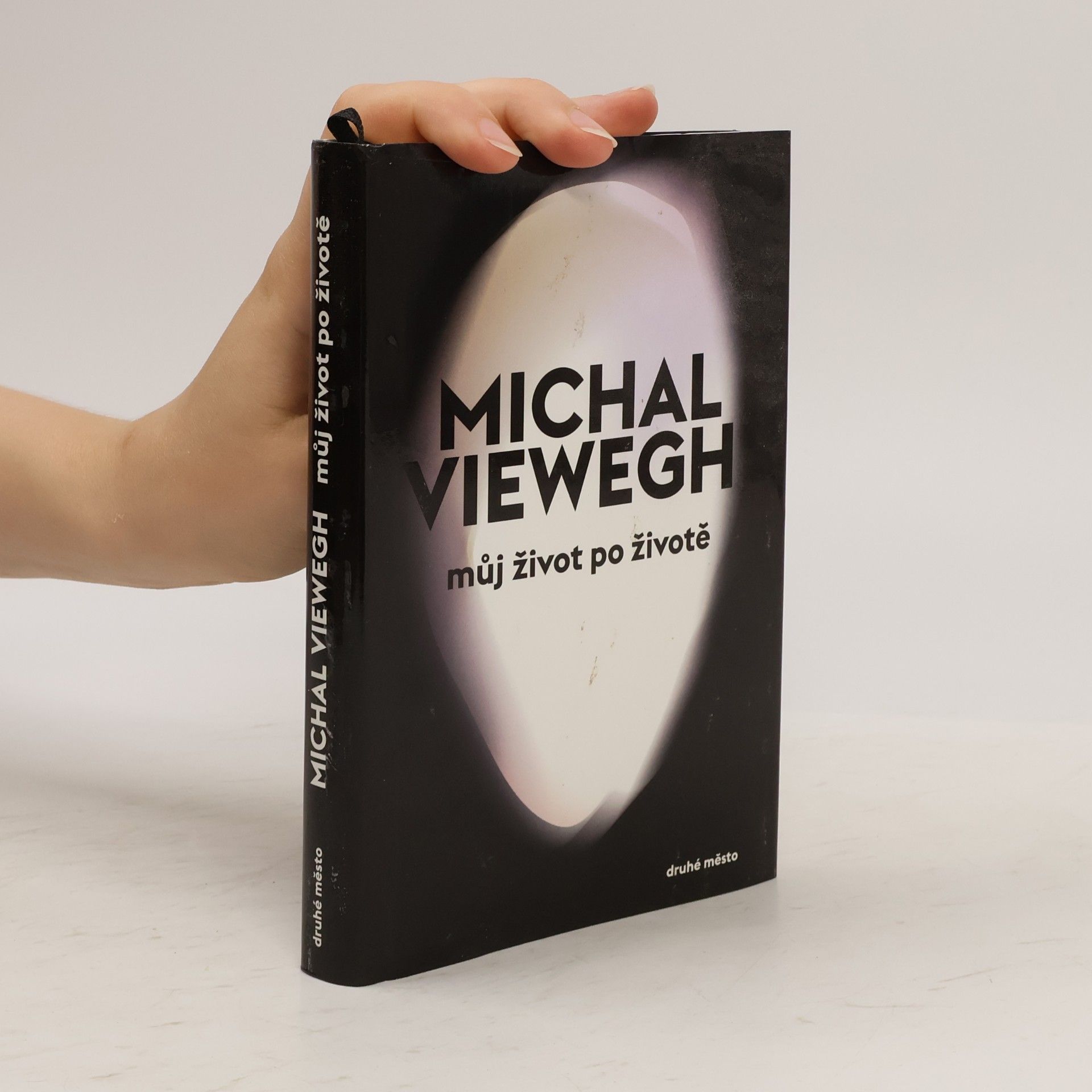 Michal Viewegh Můj život po životě