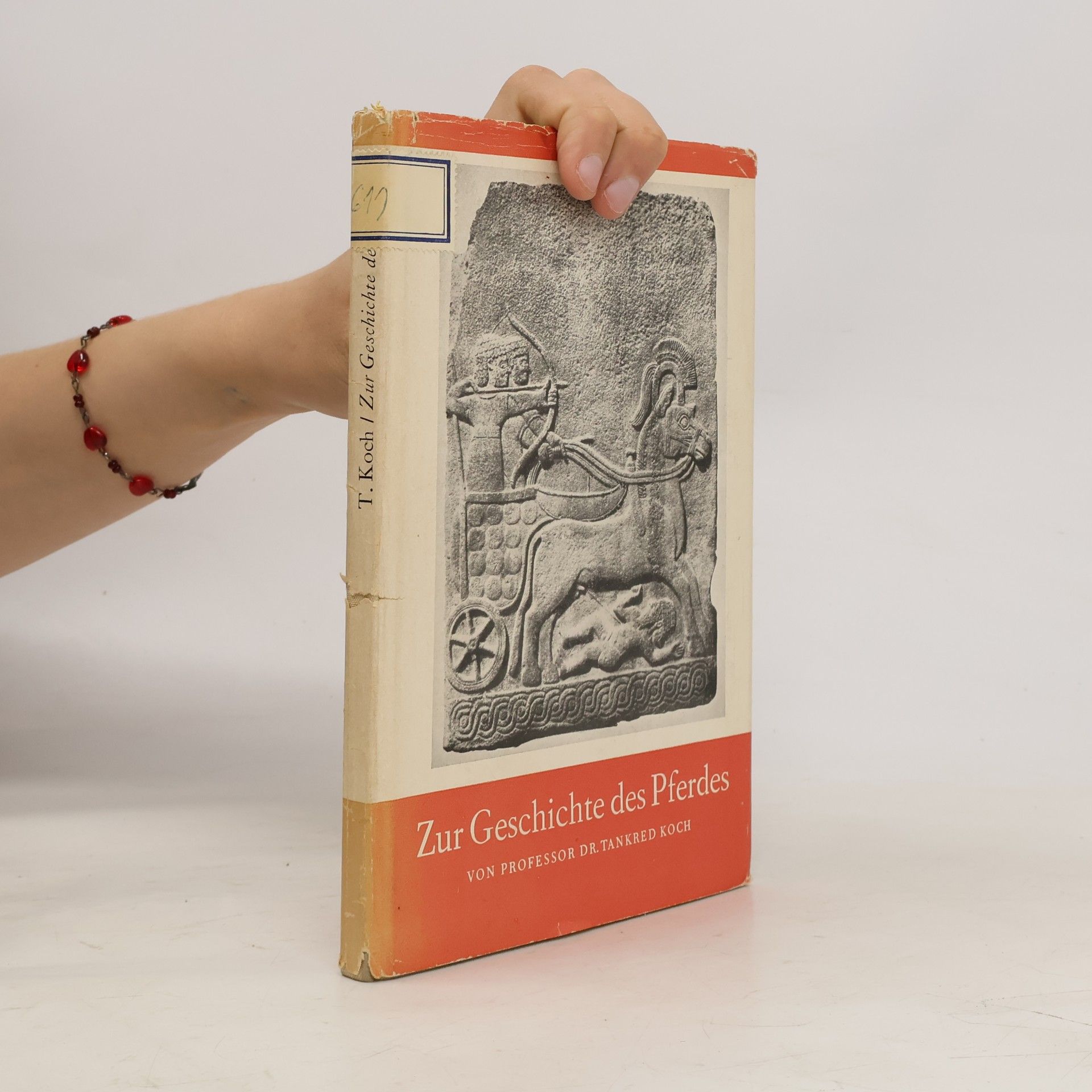 Zur Geschichte des Pferdes