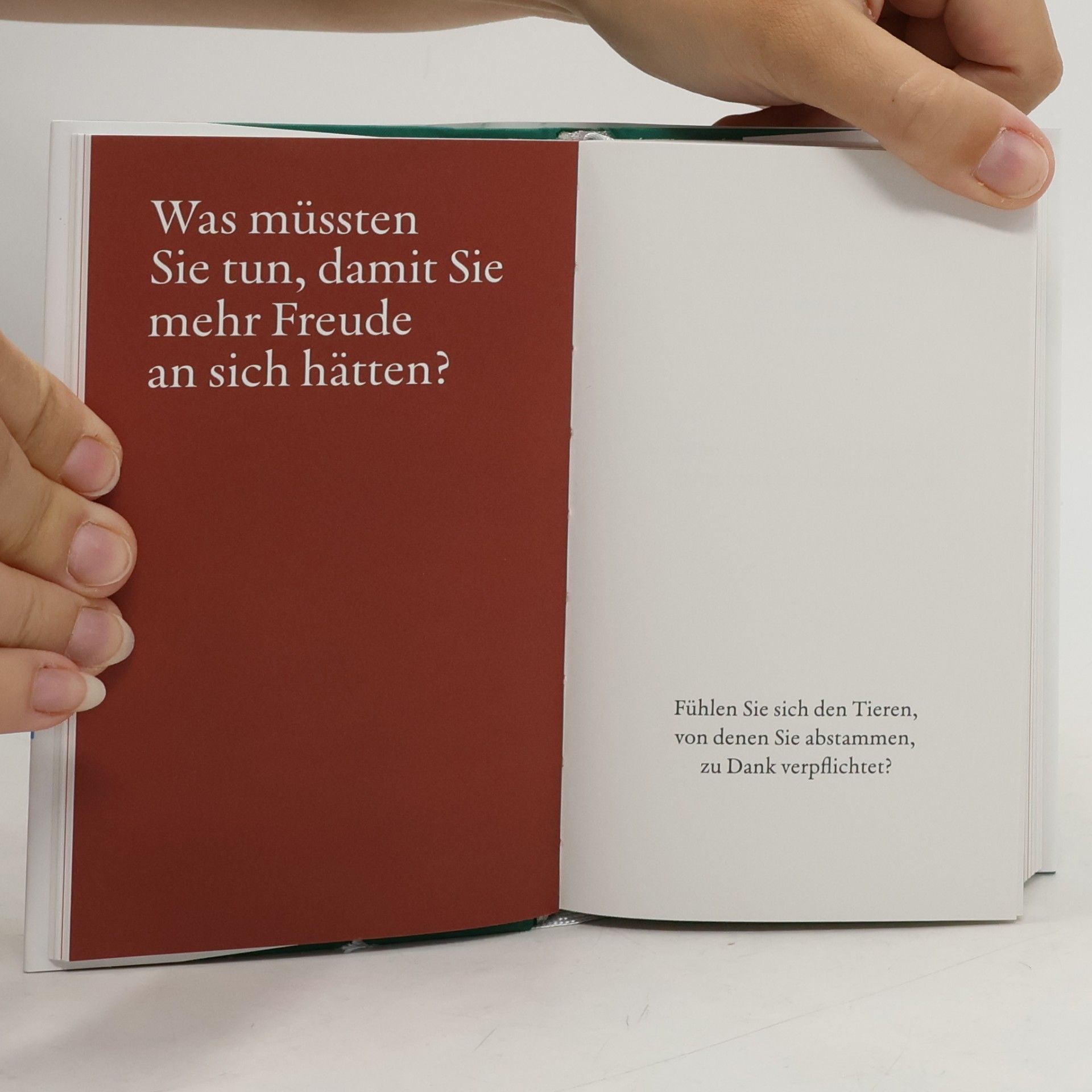 Rolf Dobelli Jetzt sind Sie gefragt