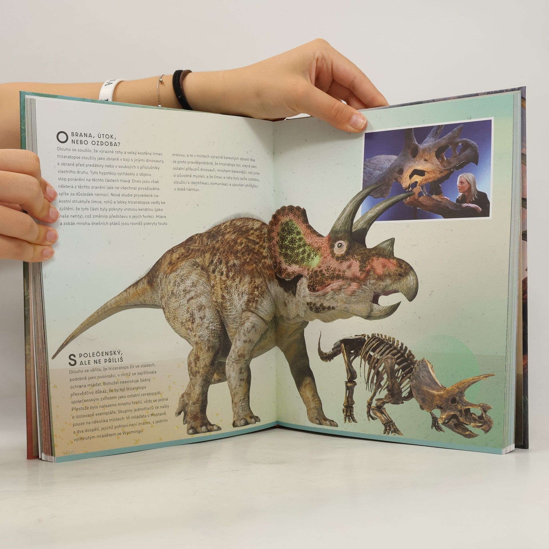 Cristina M. Banfi Velký obrazový průvodce SVĚTEM DINOSAURŮ