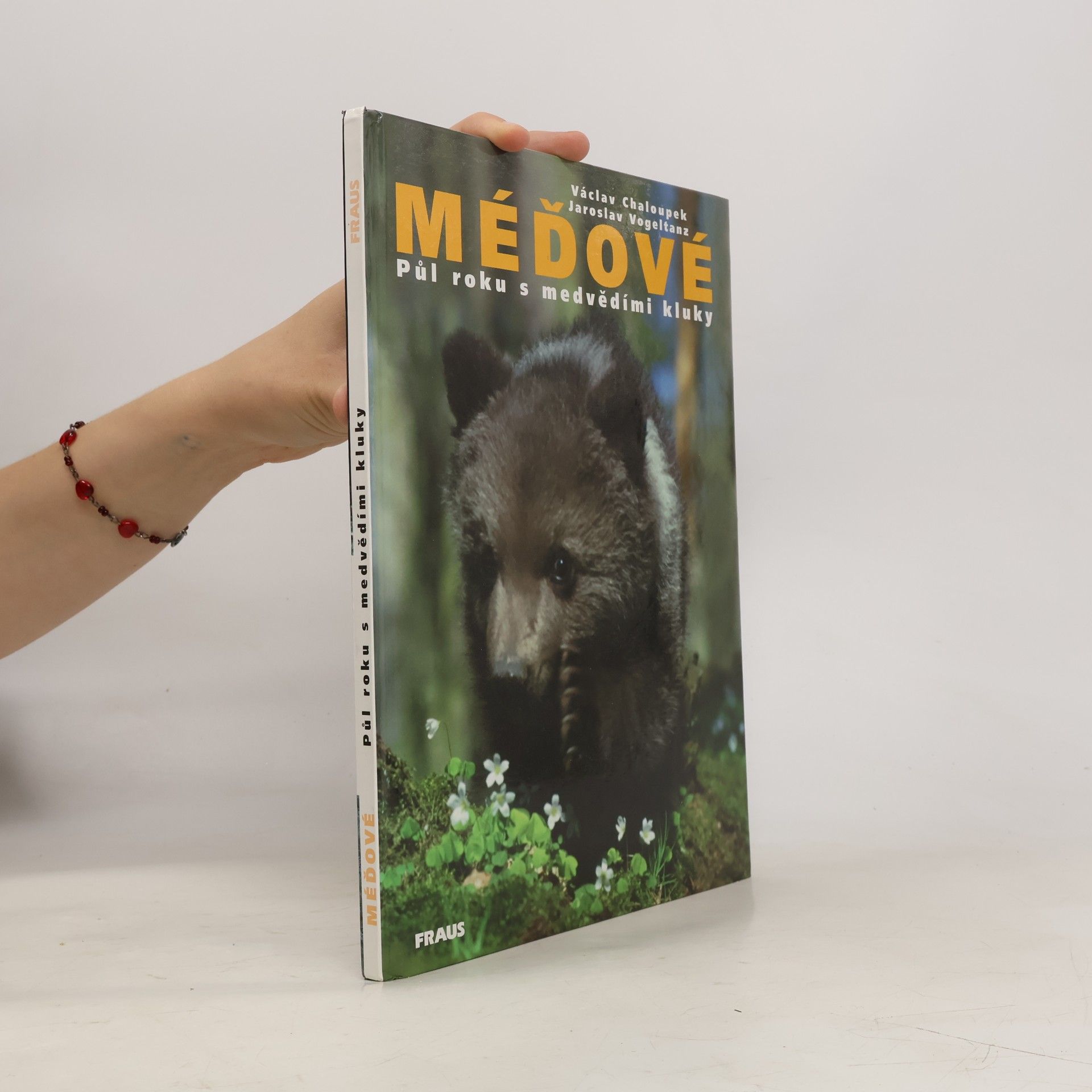 Méďové. Půl roku s medvědími kluky