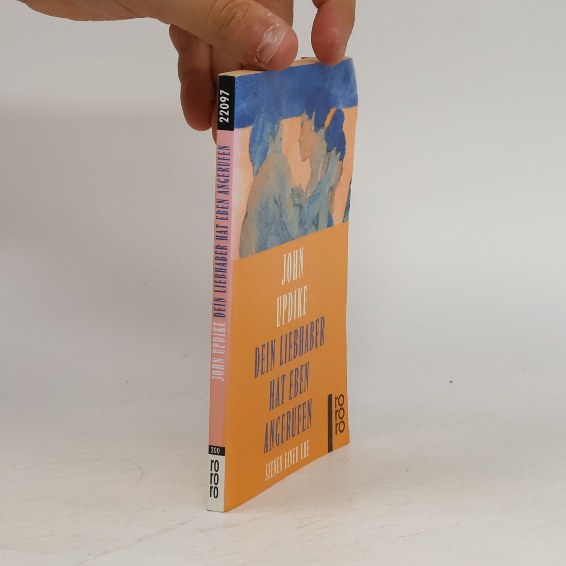 John Updike Dein Liebhaber hat eben angerufen