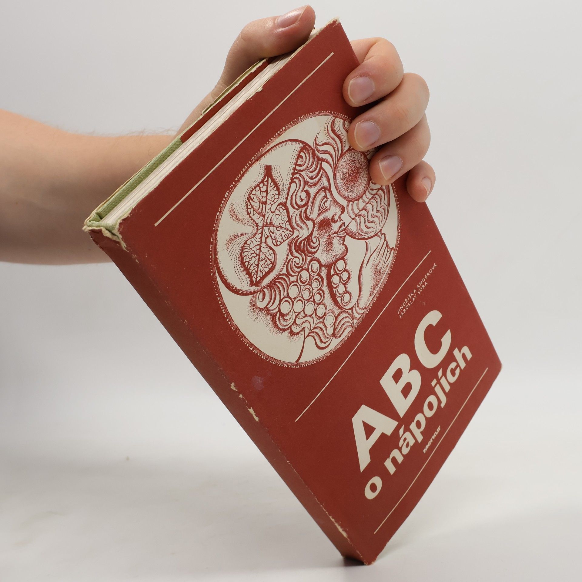 Jindřiška Angerová ABC o nápojích
