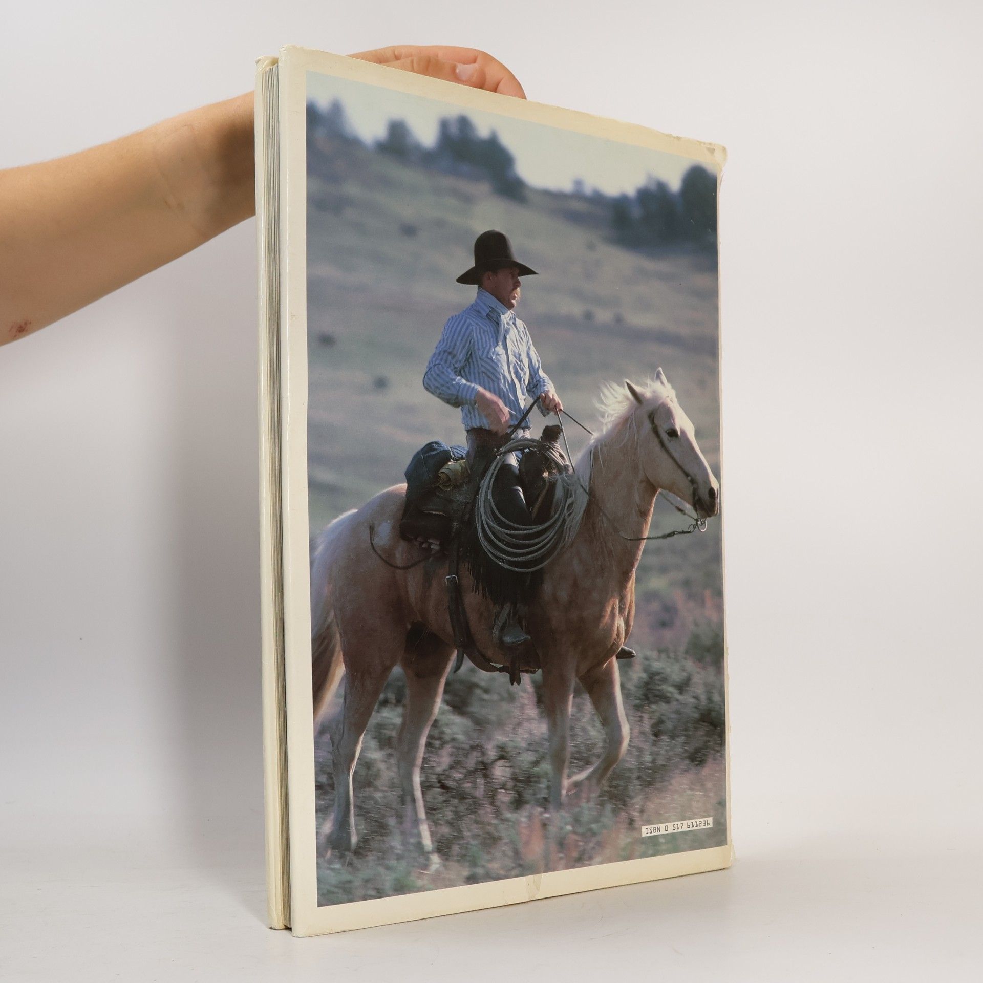 Claude Poulet Cowboys