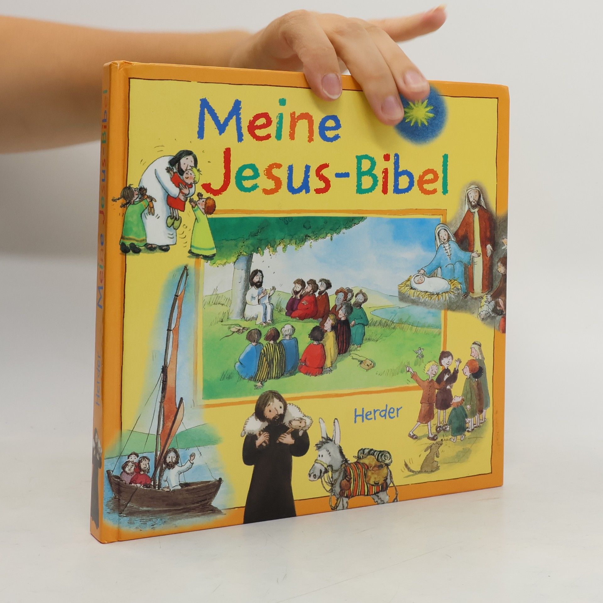 Martine Blanc-Rerat Meine Jesus-Bibel