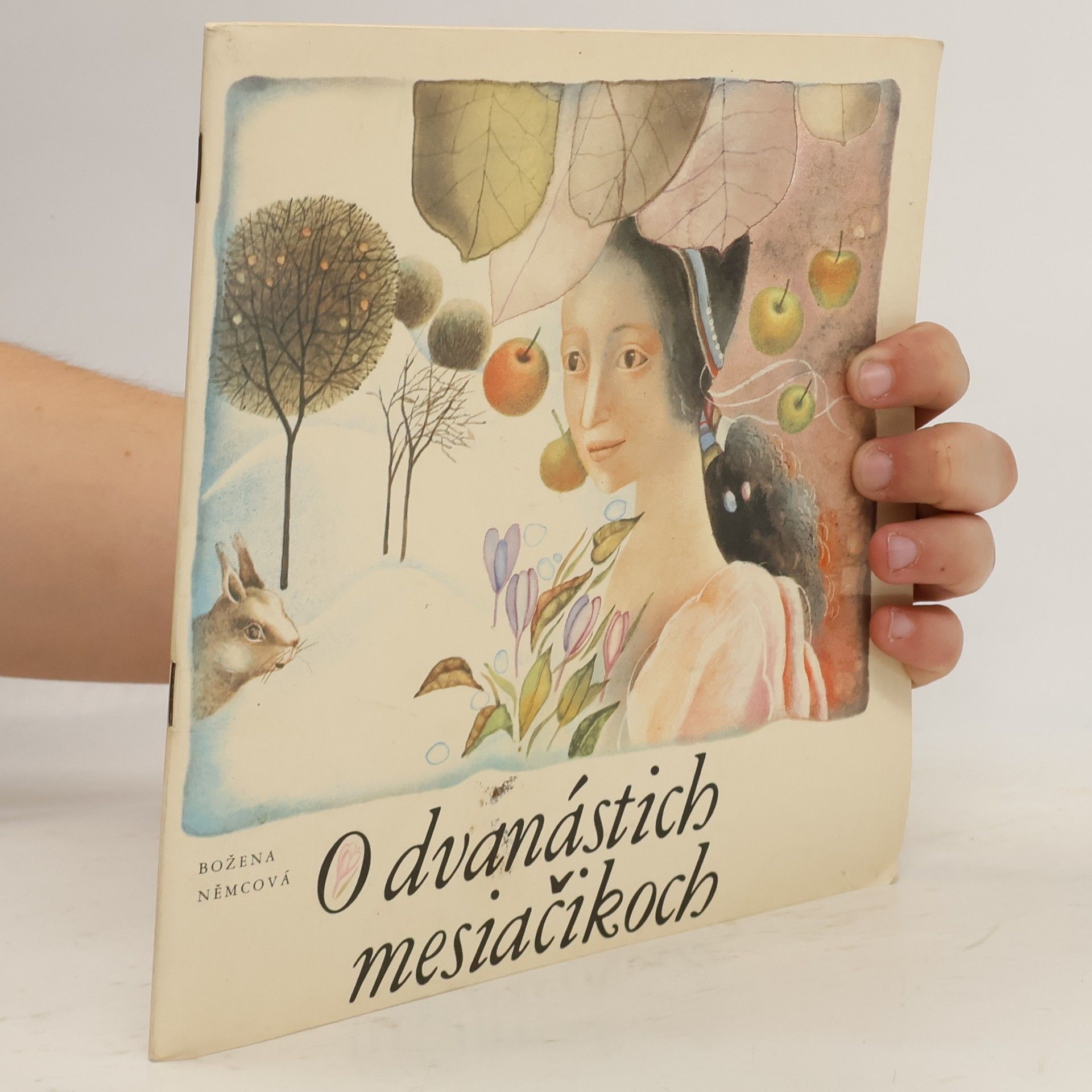 Božena Němcová O dvanástich mesiačikoch