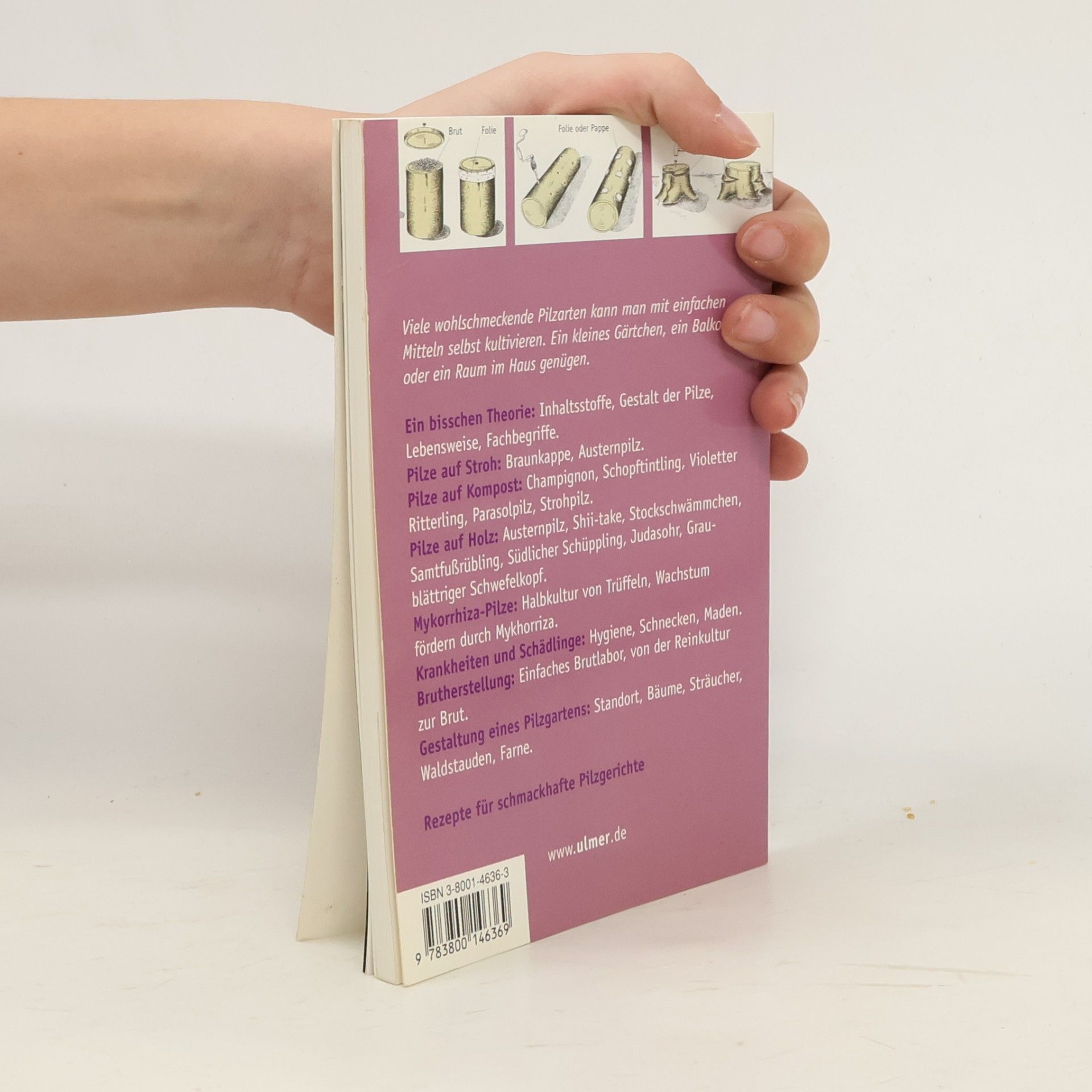 Jolanda Englbrecht Ulmer Taschenbücher - 29: Pilzanbau in Haus und Garten