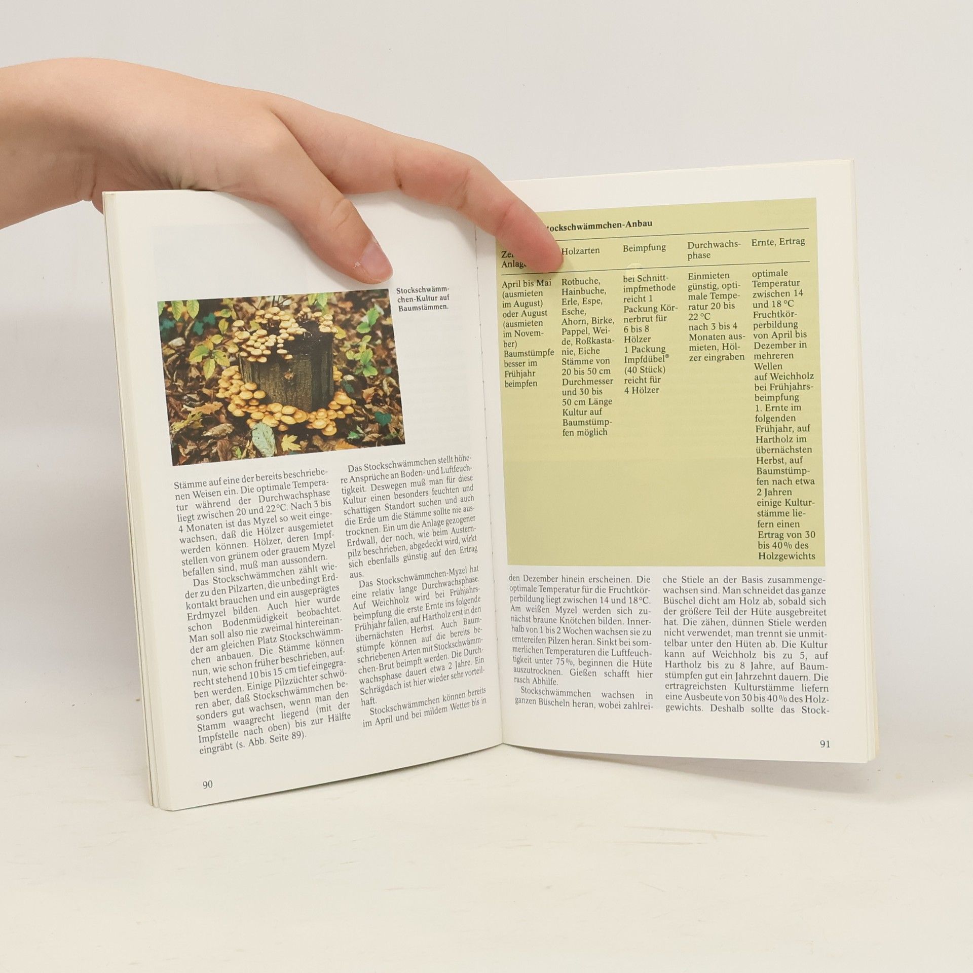 Jolanda Englbrecht Ulmer Taschenbücher - 29: Pilzanbau in Haus und Garten